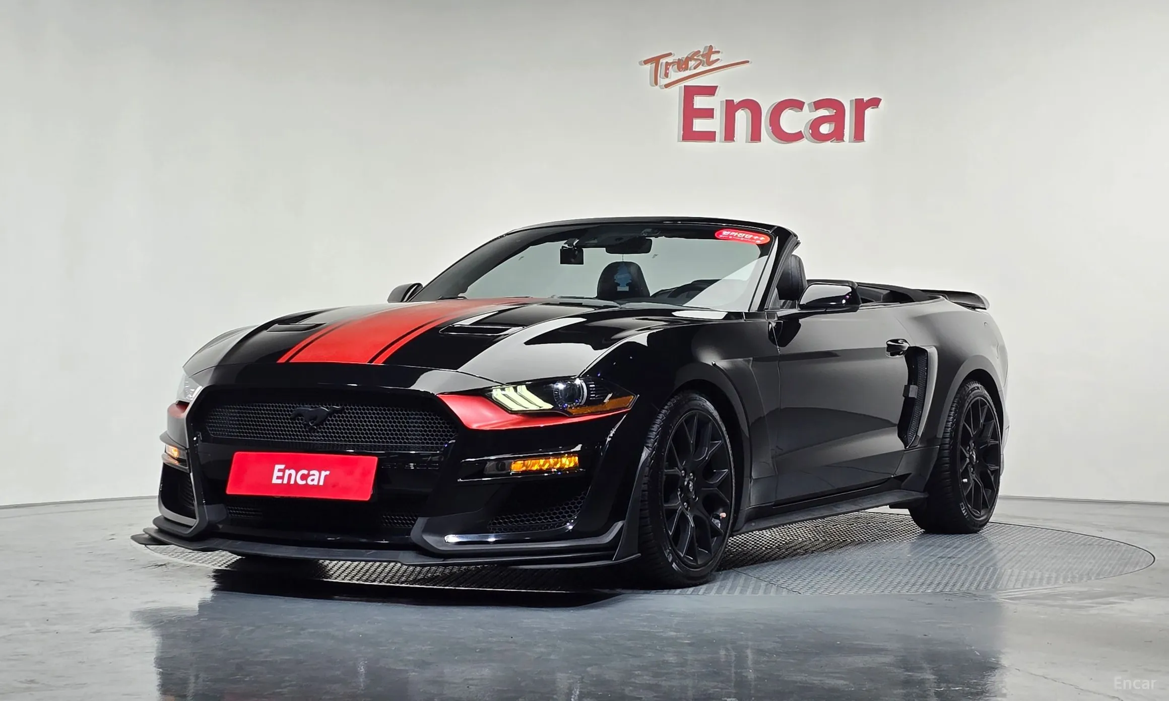 Mustang