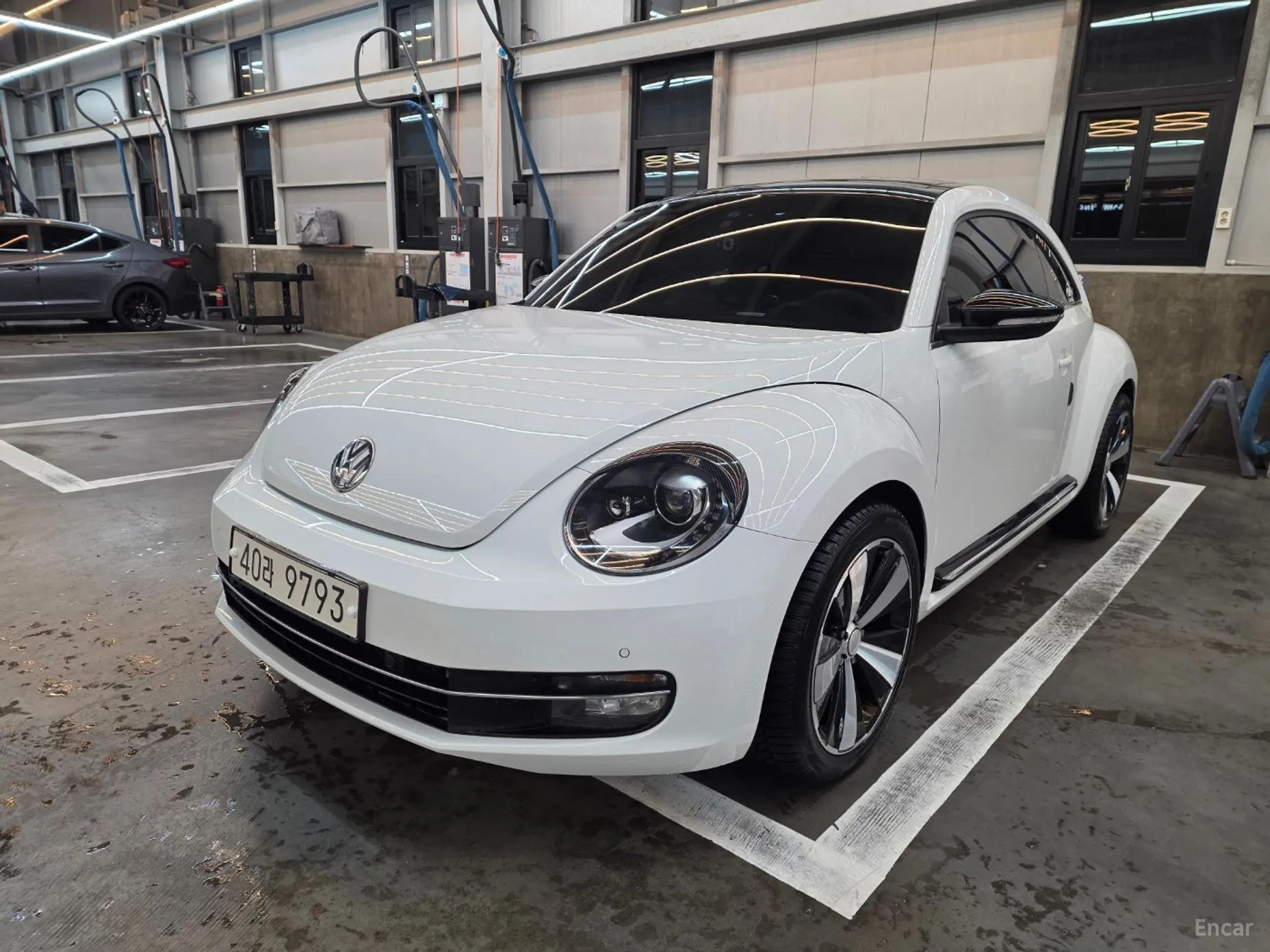 The Beetle