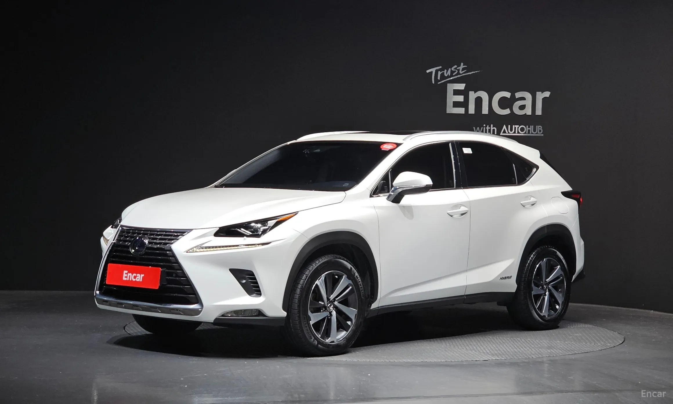 Lexus NX300h