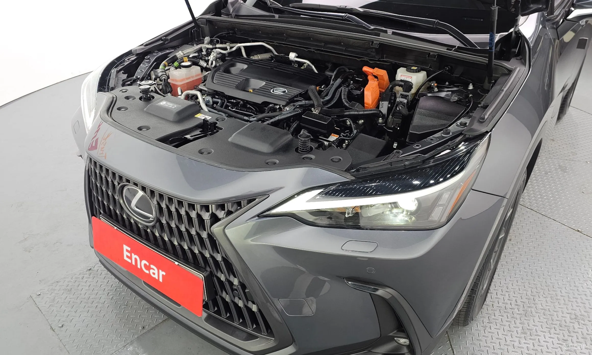 Lexus NX450h + 2nd Gen превью 6