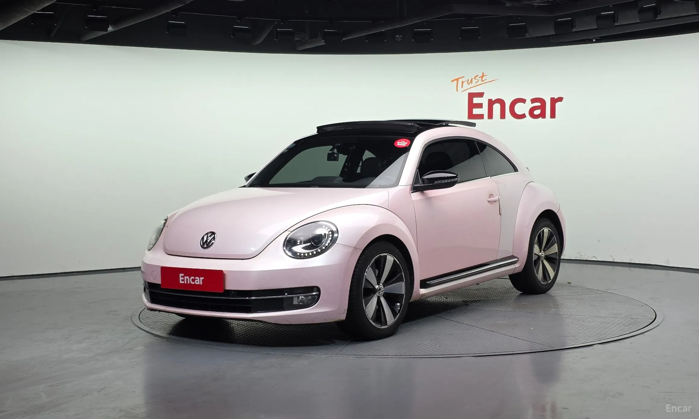 The Beetle