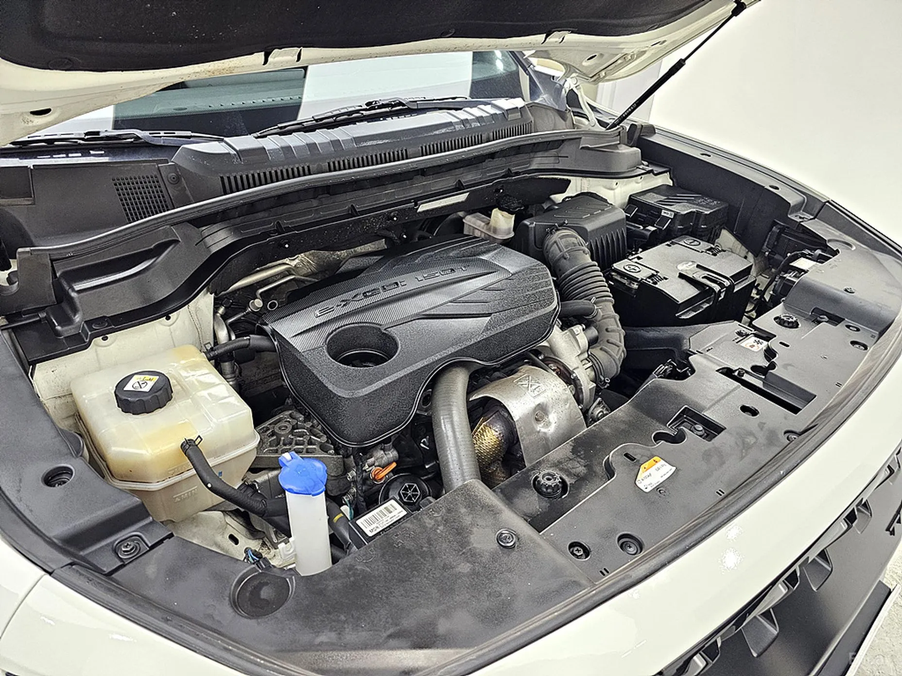 KG Mobility (SsangYong) Torres превью 6