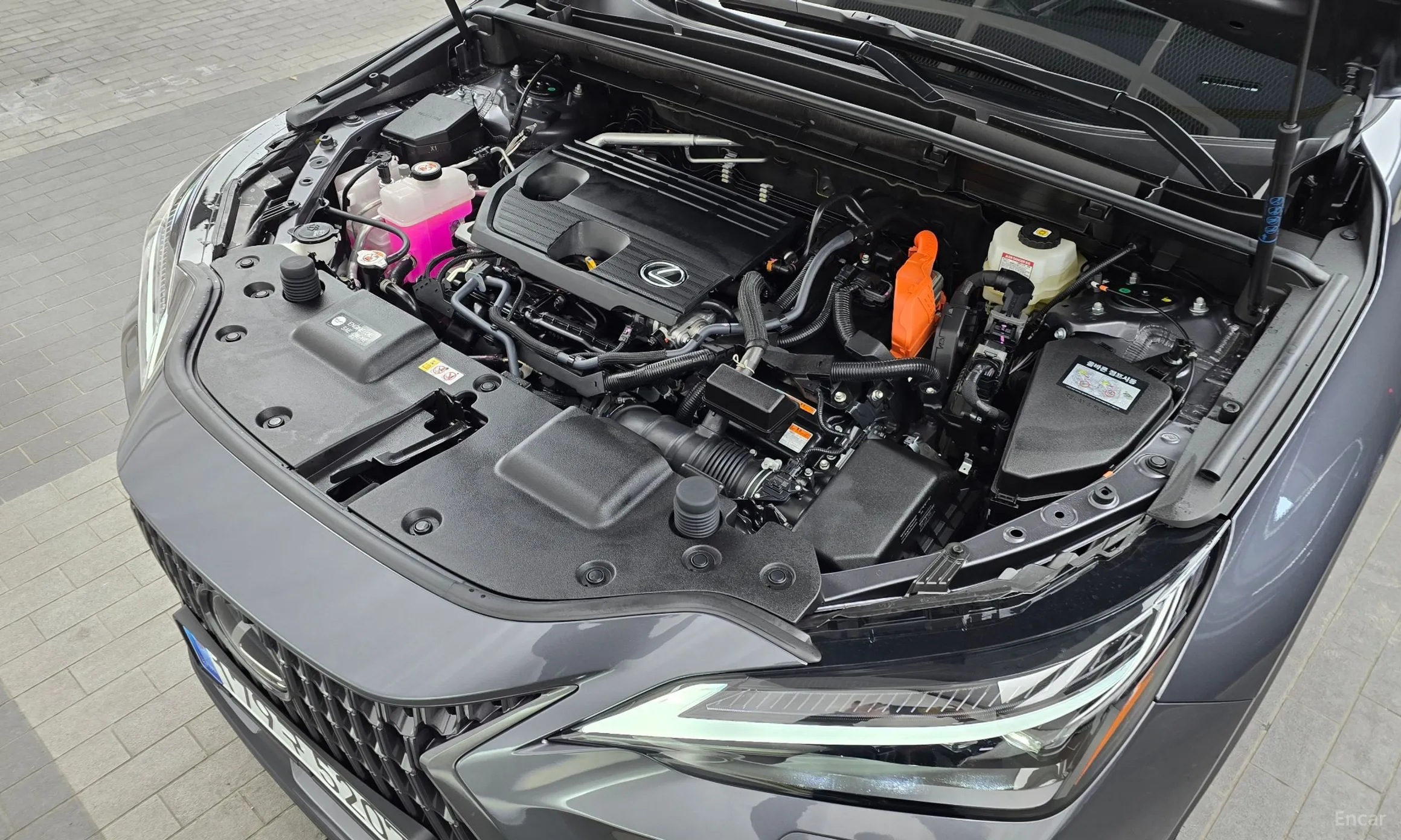 Lexus NX350h Gen 2 превью 6