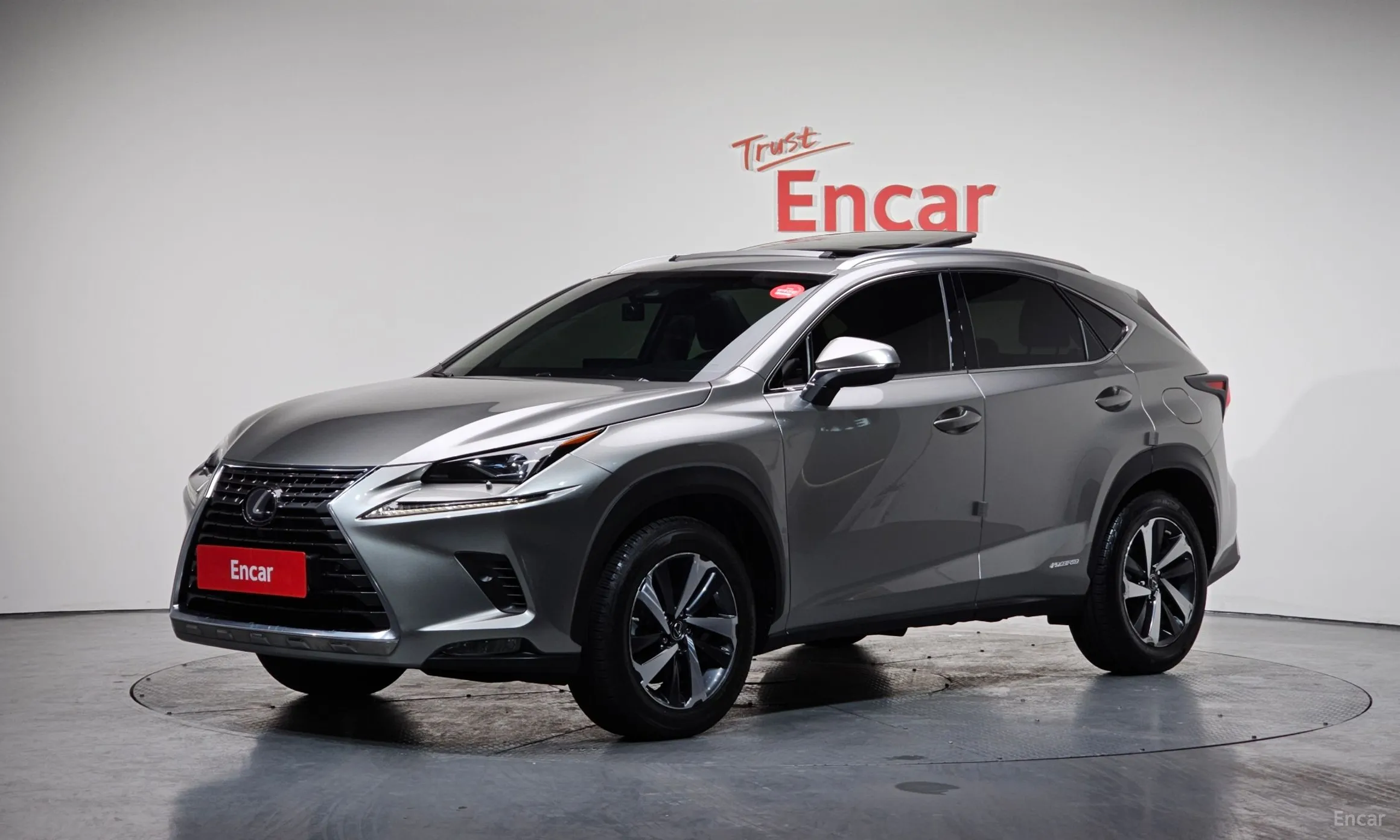 Lexus NX300h