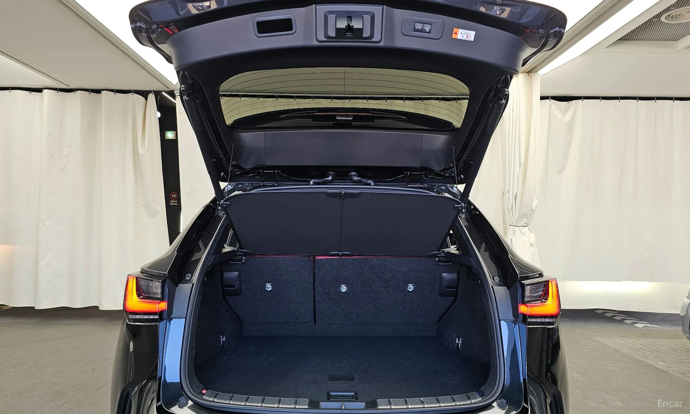 Lexus NX350h Gen 2 превью 20