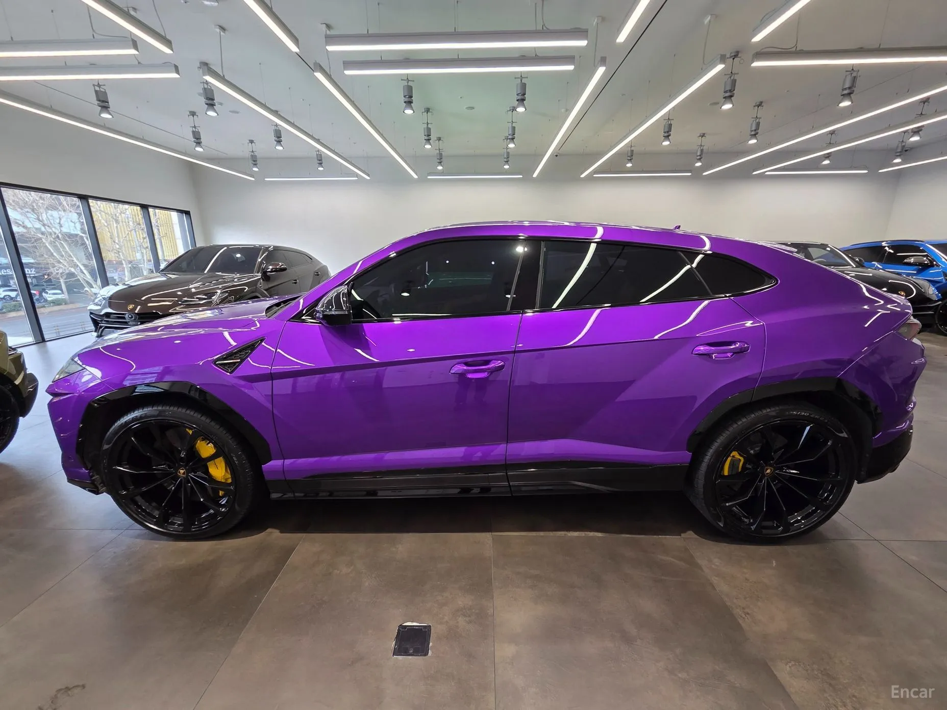 Lamborghini Urus превью 2