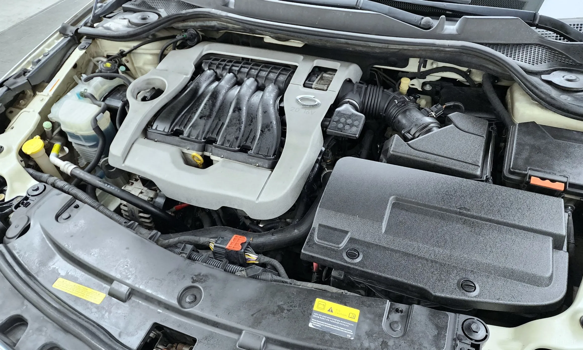 Renault Korea (Samsung) SM5 превью 6