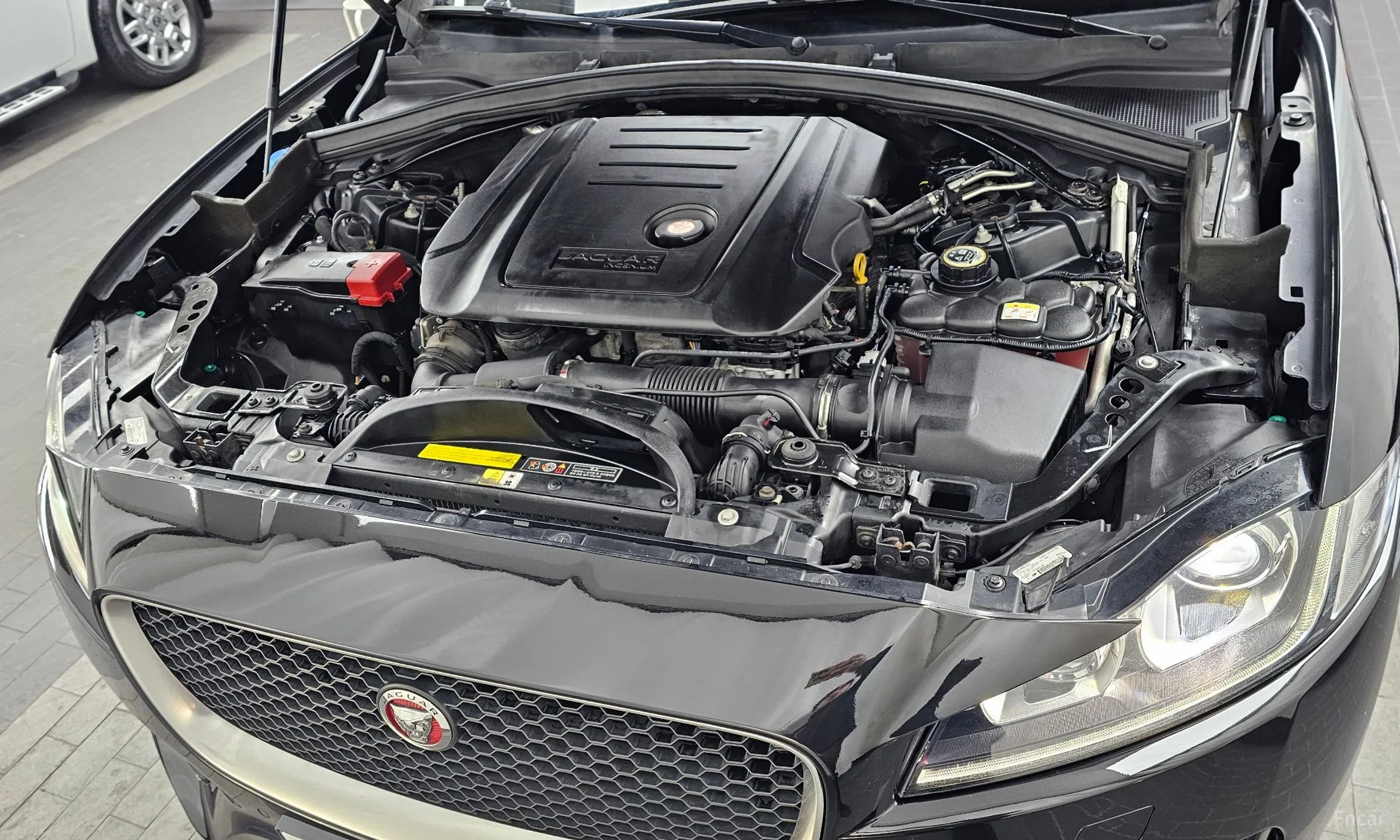 Jaguar F-PACE превью 6