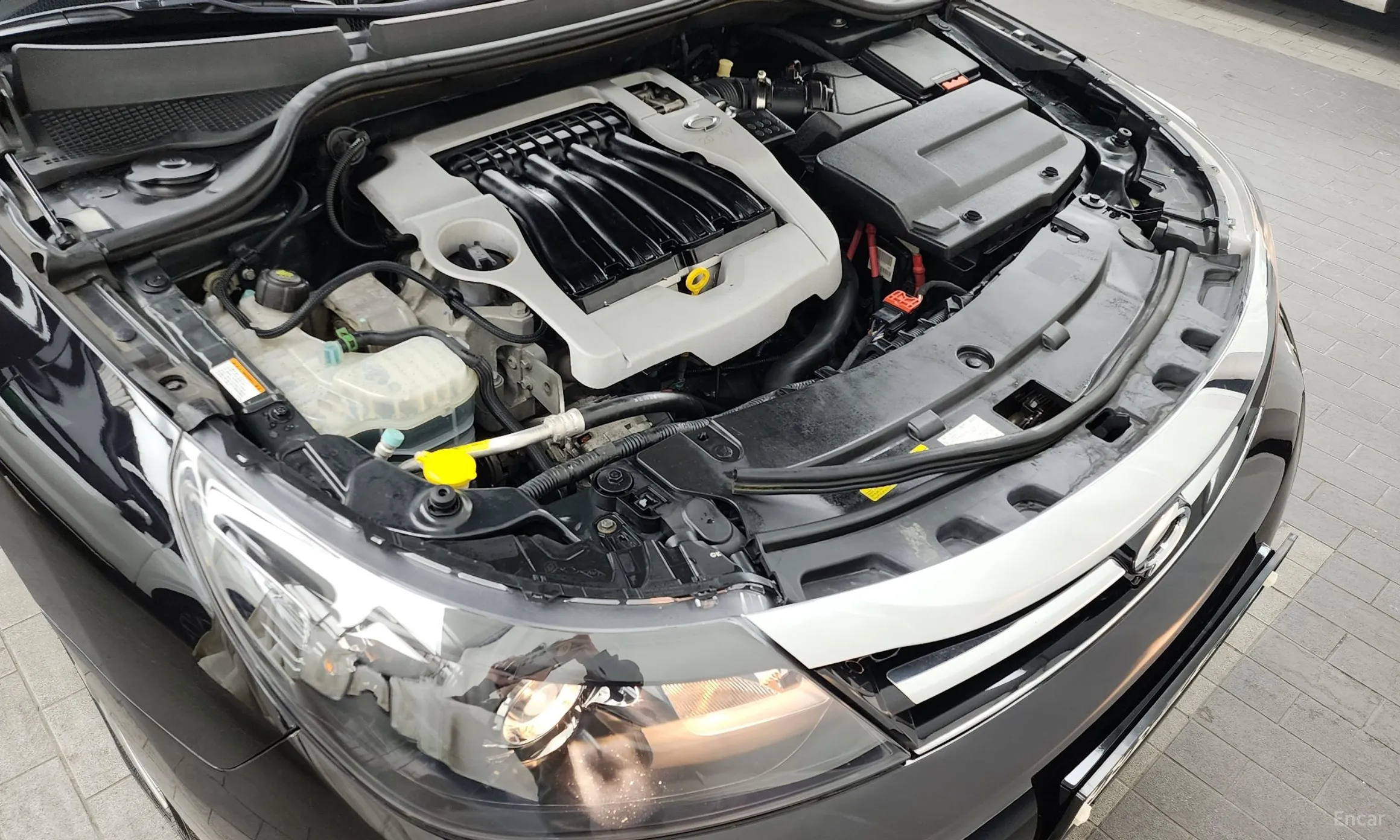 Renault Korea (Samsung) SM5 превью 6