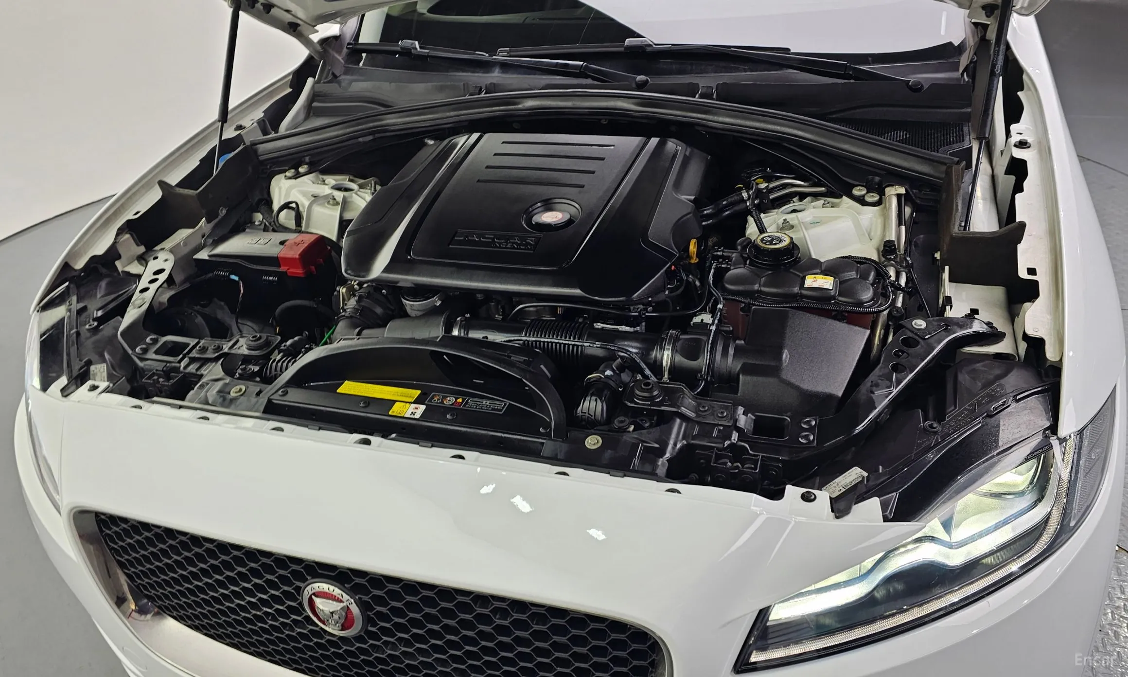 Jaguar F-PACE превью 6