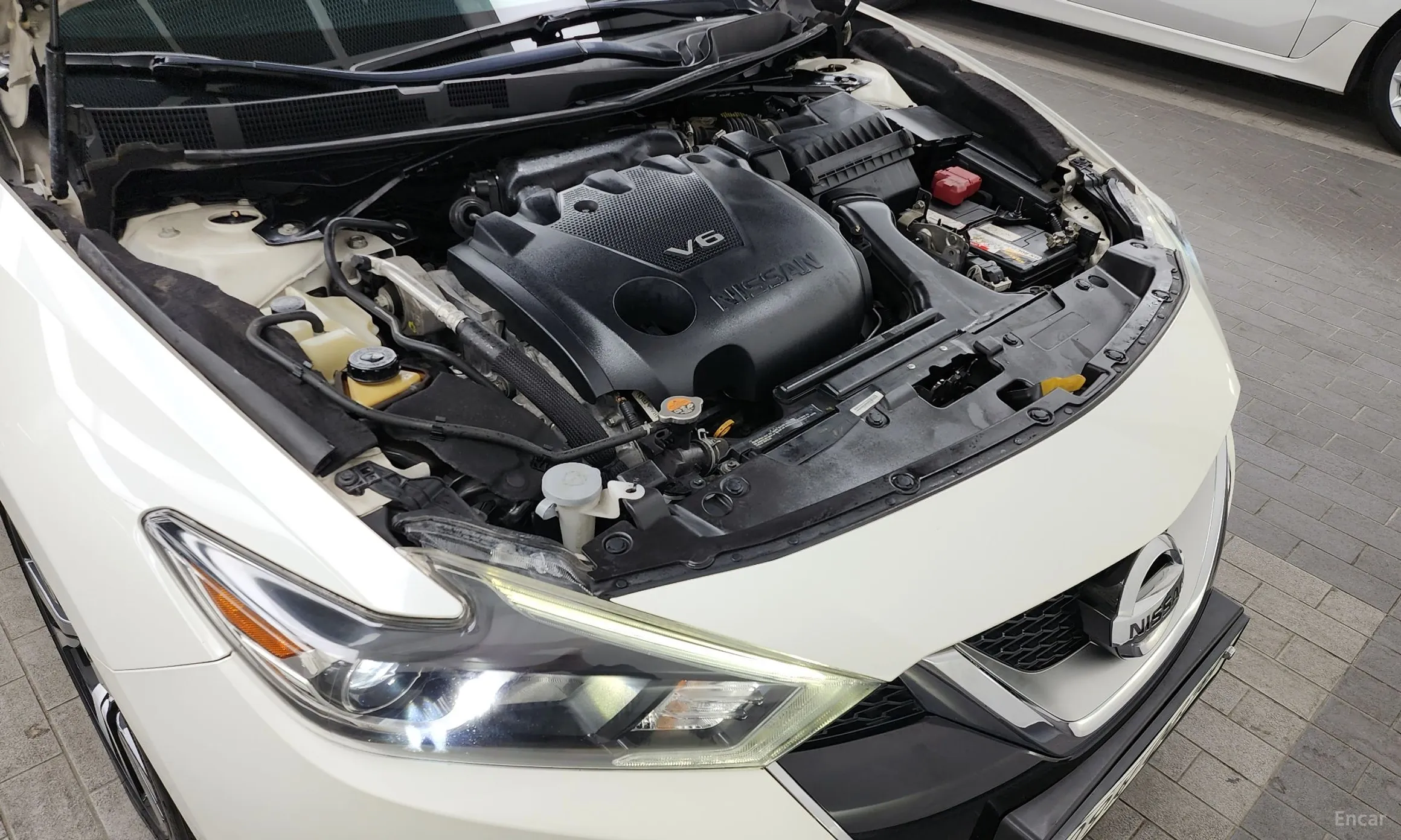 Nissan Maxima (A36) превью 6