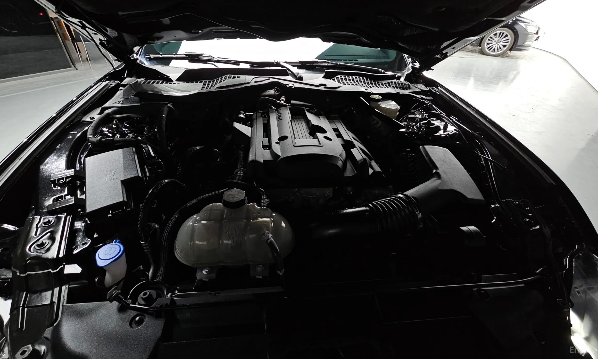 Ford Mustang превью 6