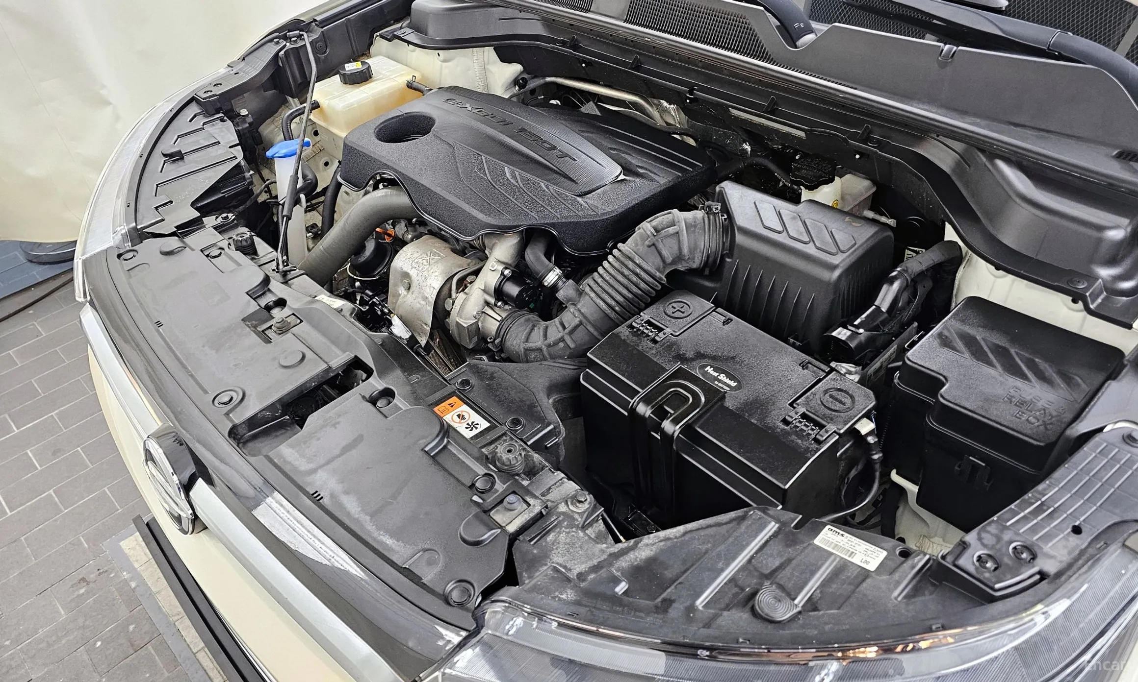 KG Mobility (SsangYong) Beautiful Korando превью 6