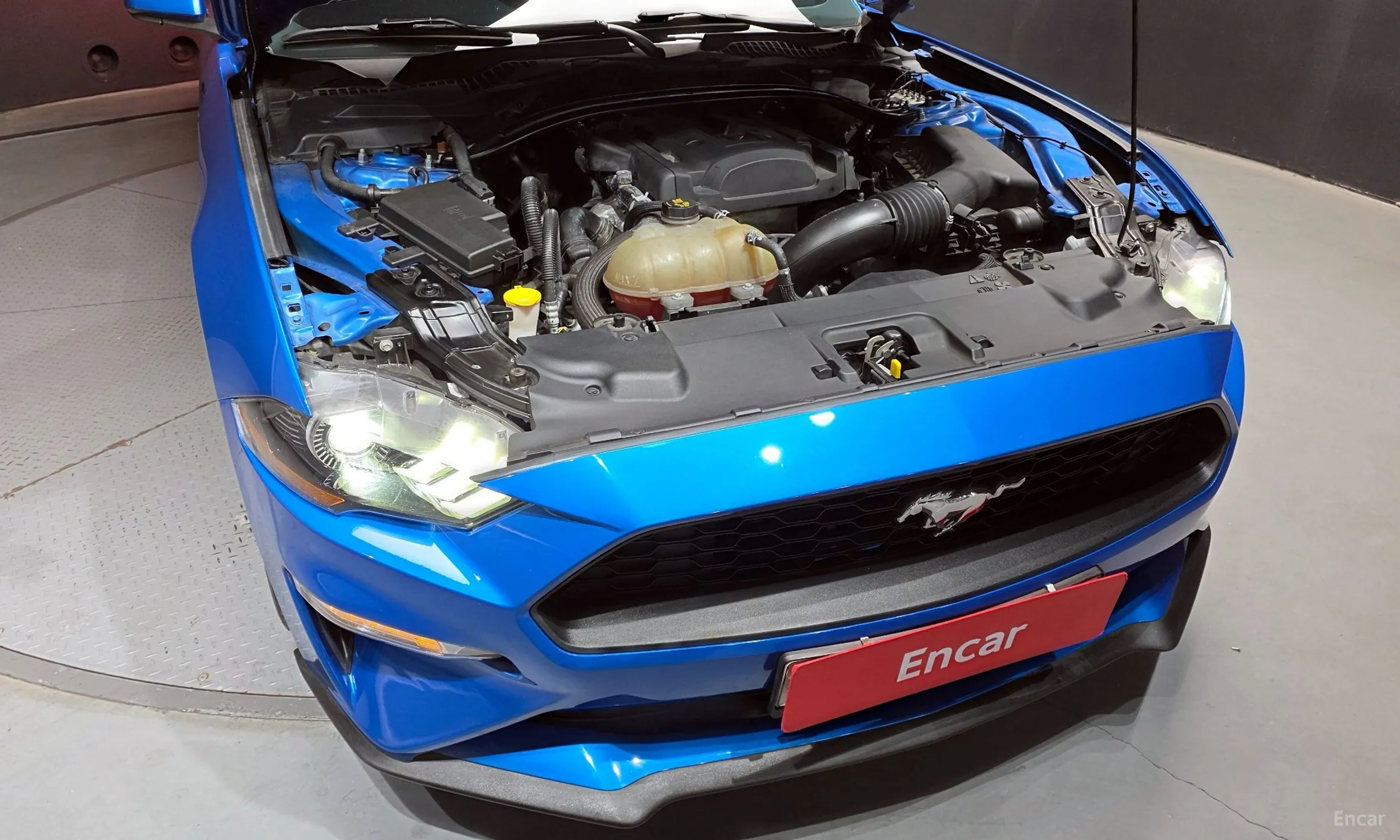 Ford Mustang превью 6