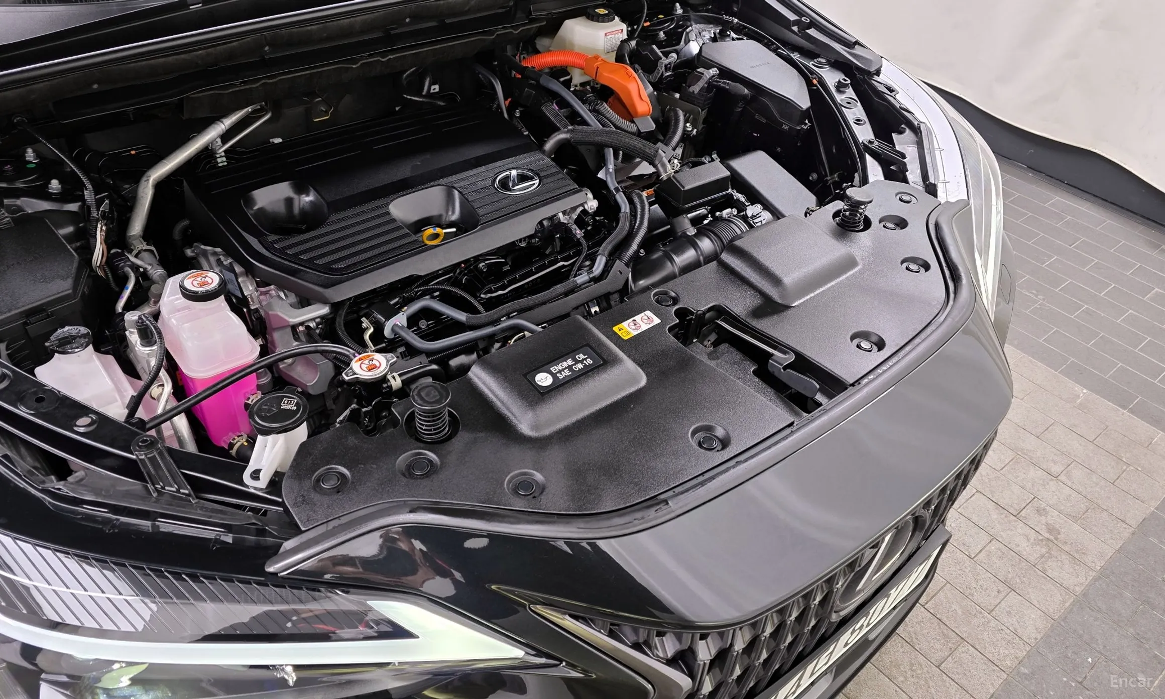 Lexus NX350h Gen 2 превью 6