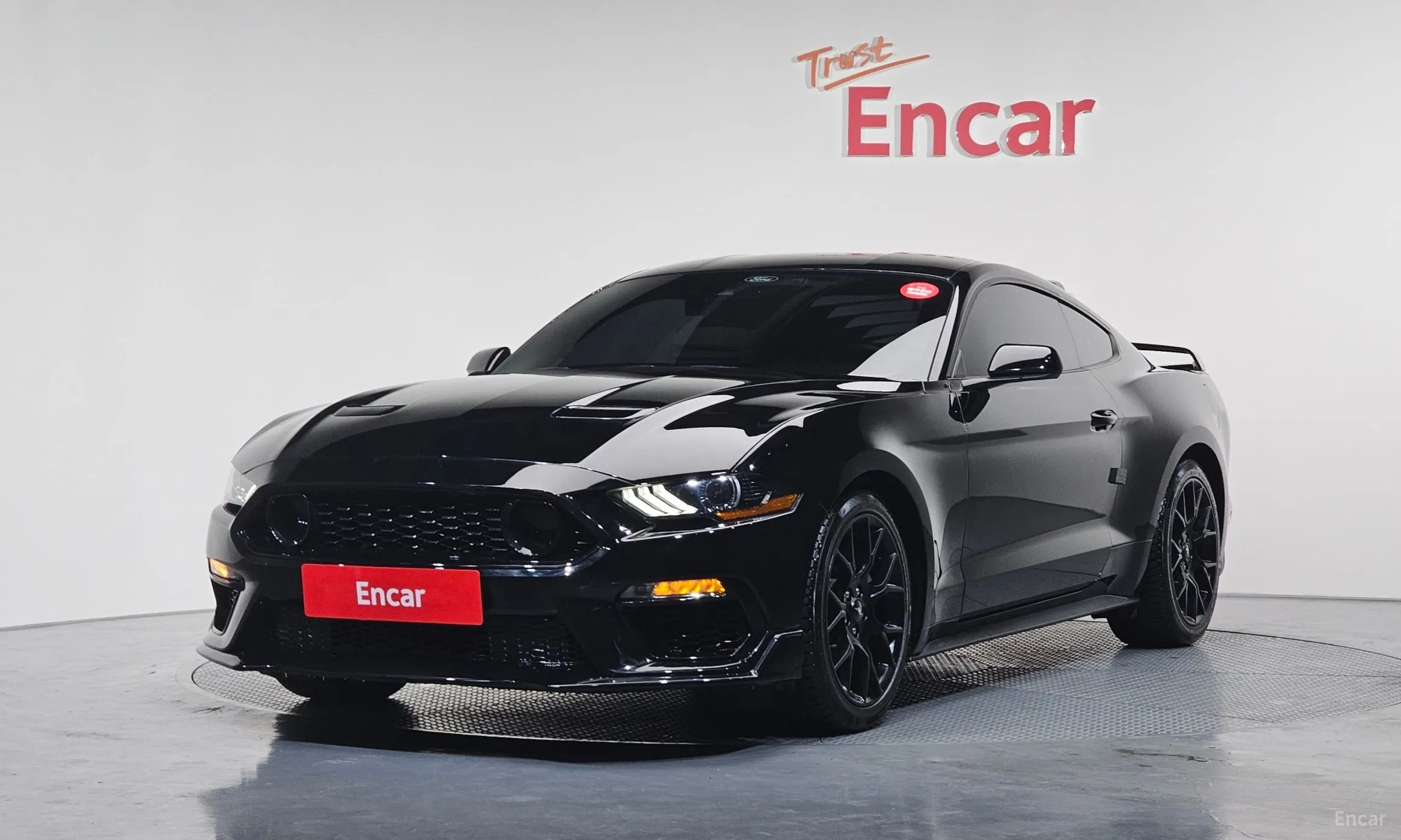 Mustang