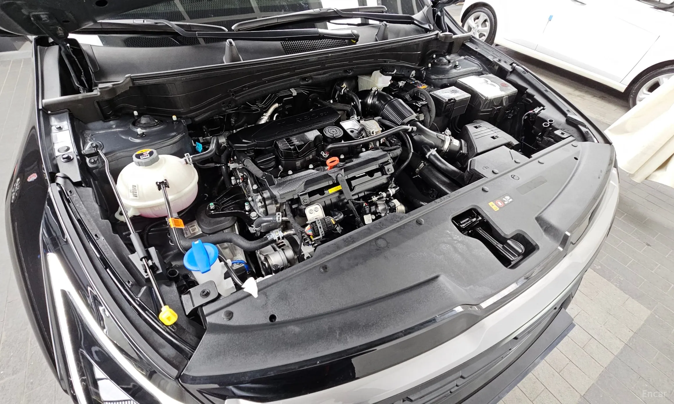 Kia Sportage 5th Generation превью 6