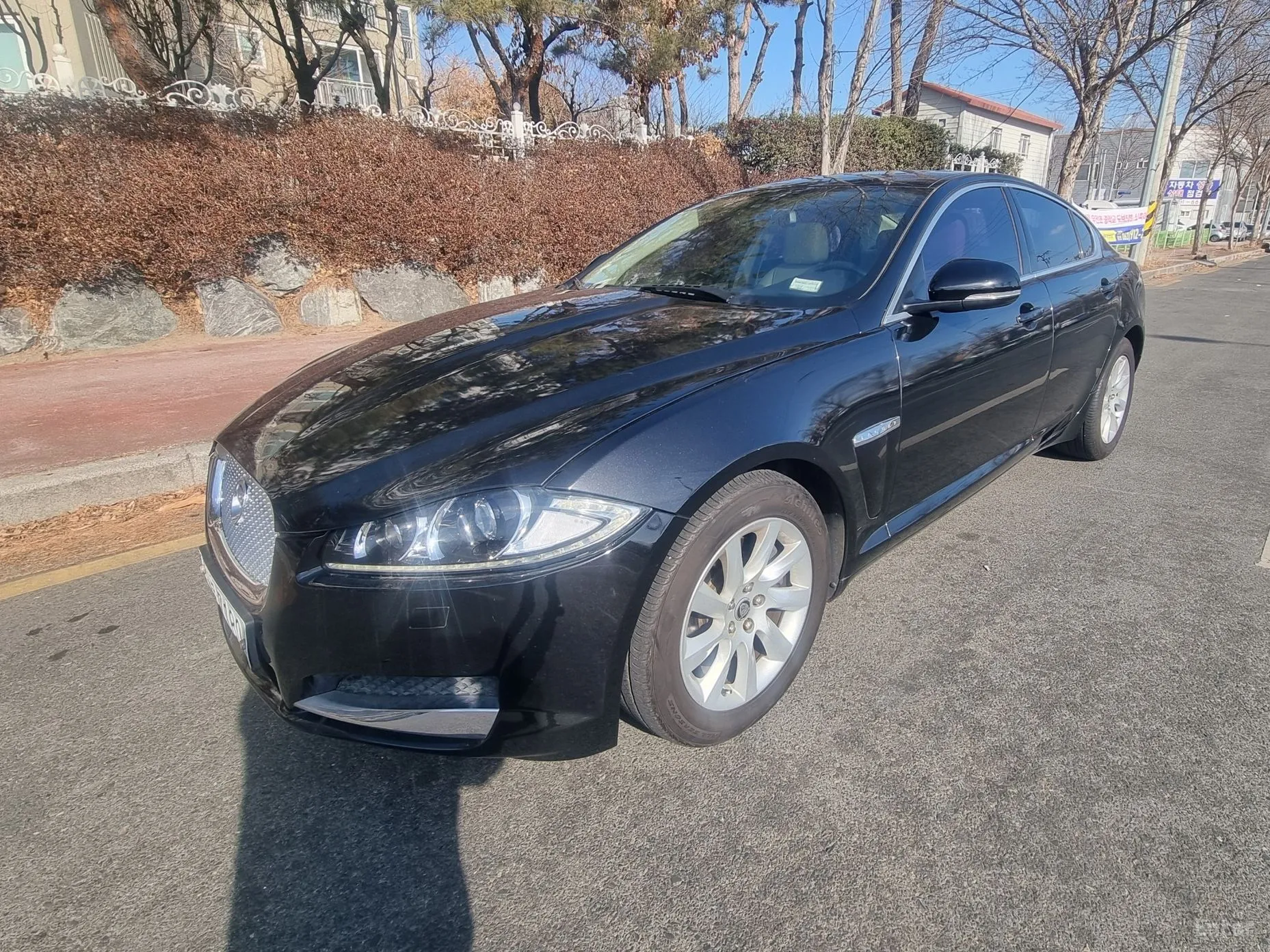 New XF
