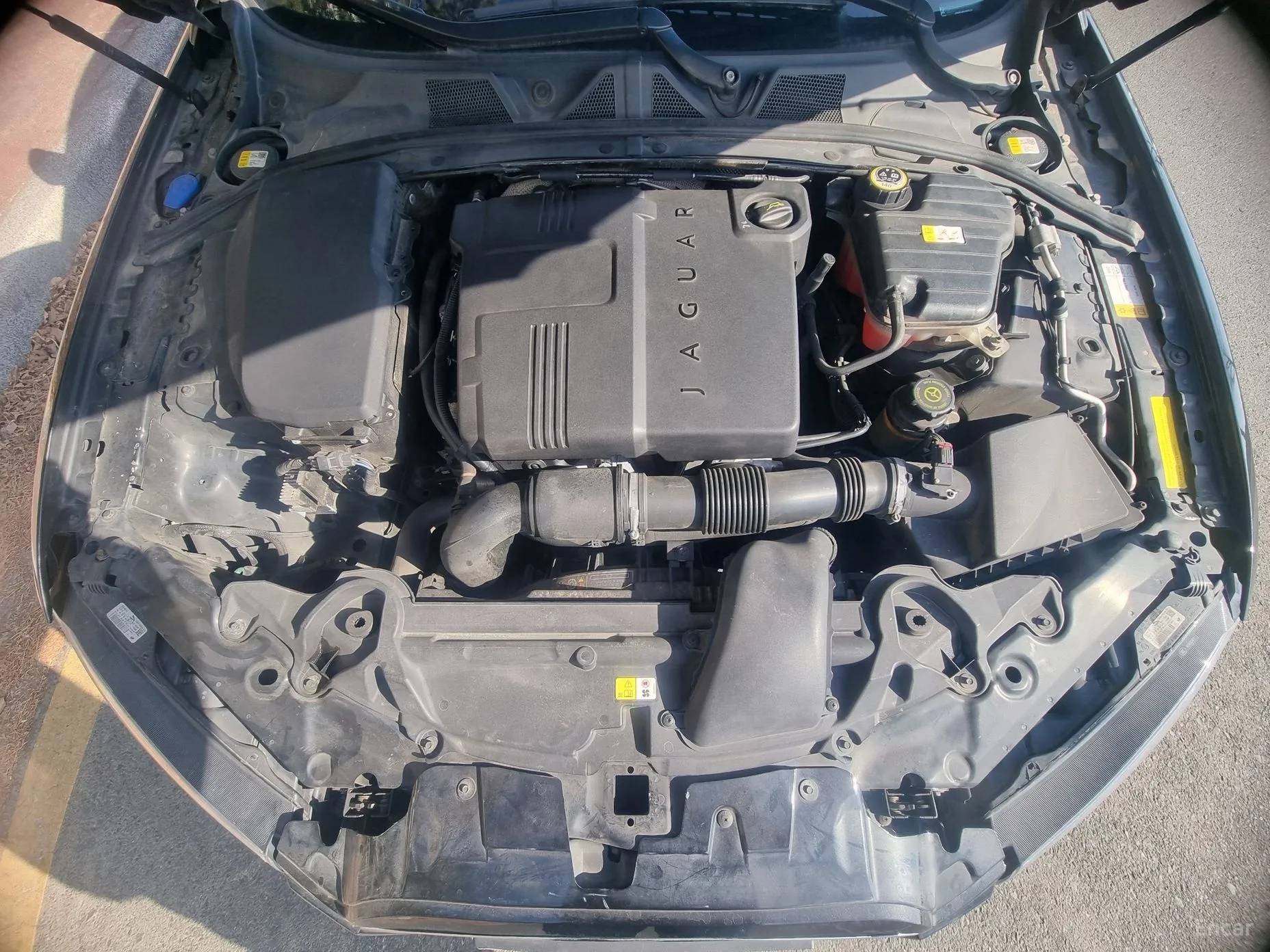 Jaguar New XF превью 5