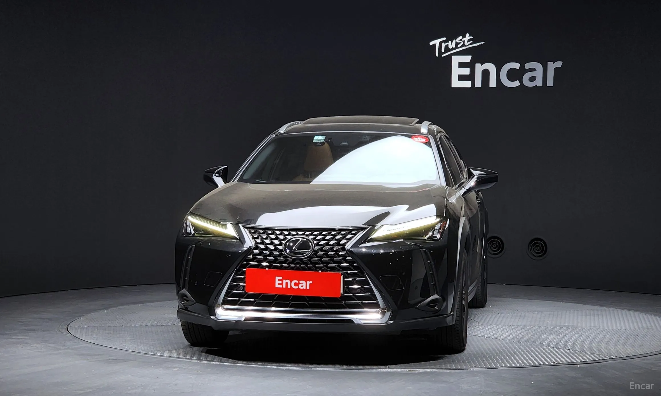 Lexus UX250h превью 3