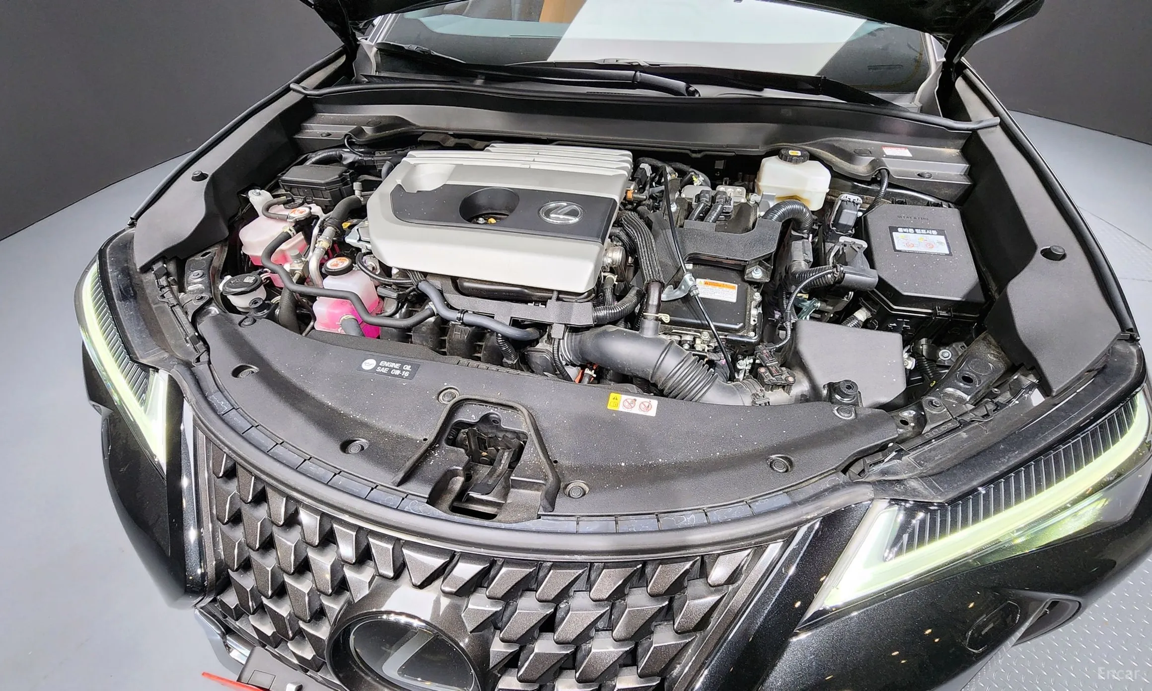 Lexus UX250h превью 6