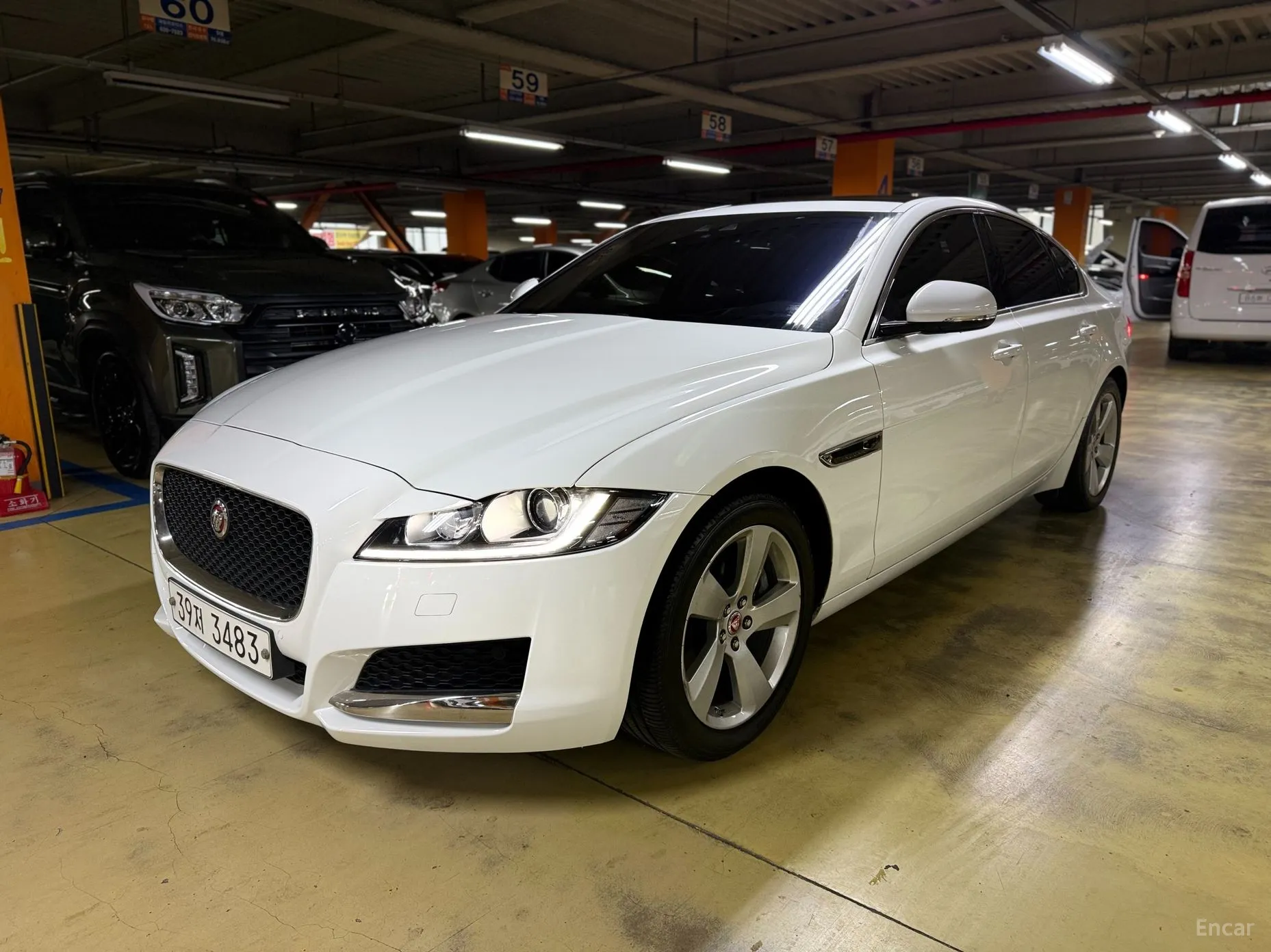 XF (x260)