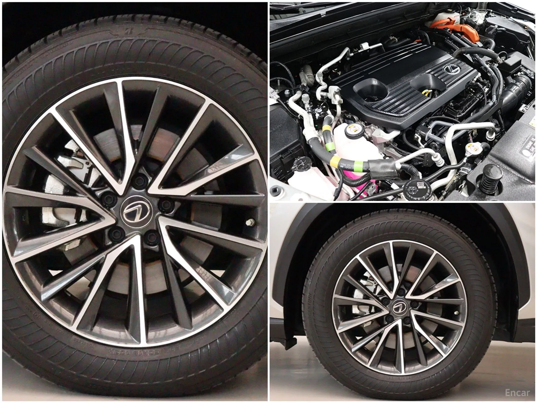 Lexus NX450h + 2nd Gen превью 20