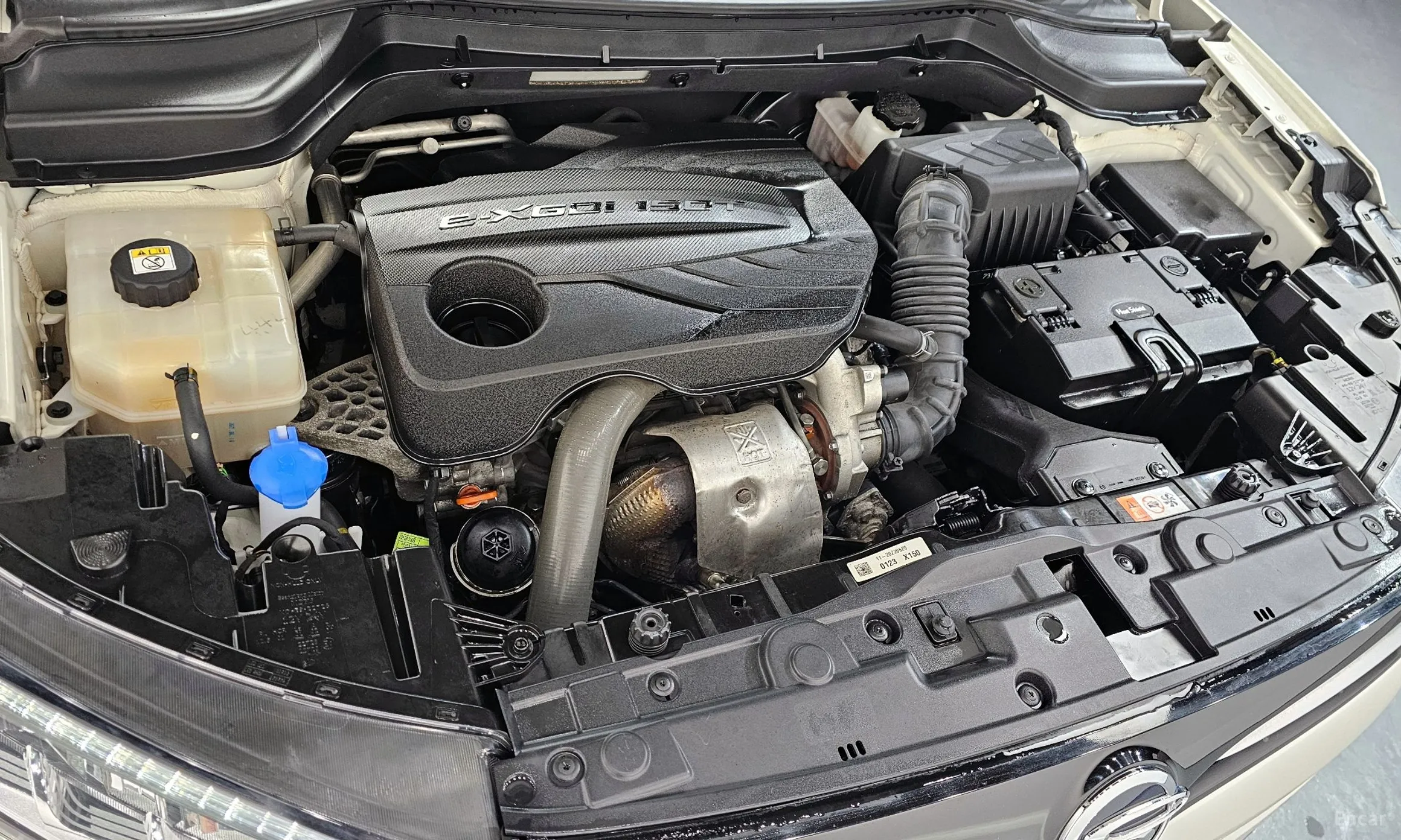 KG Mobility (SsangYong) Berry New Tivoli превью 6