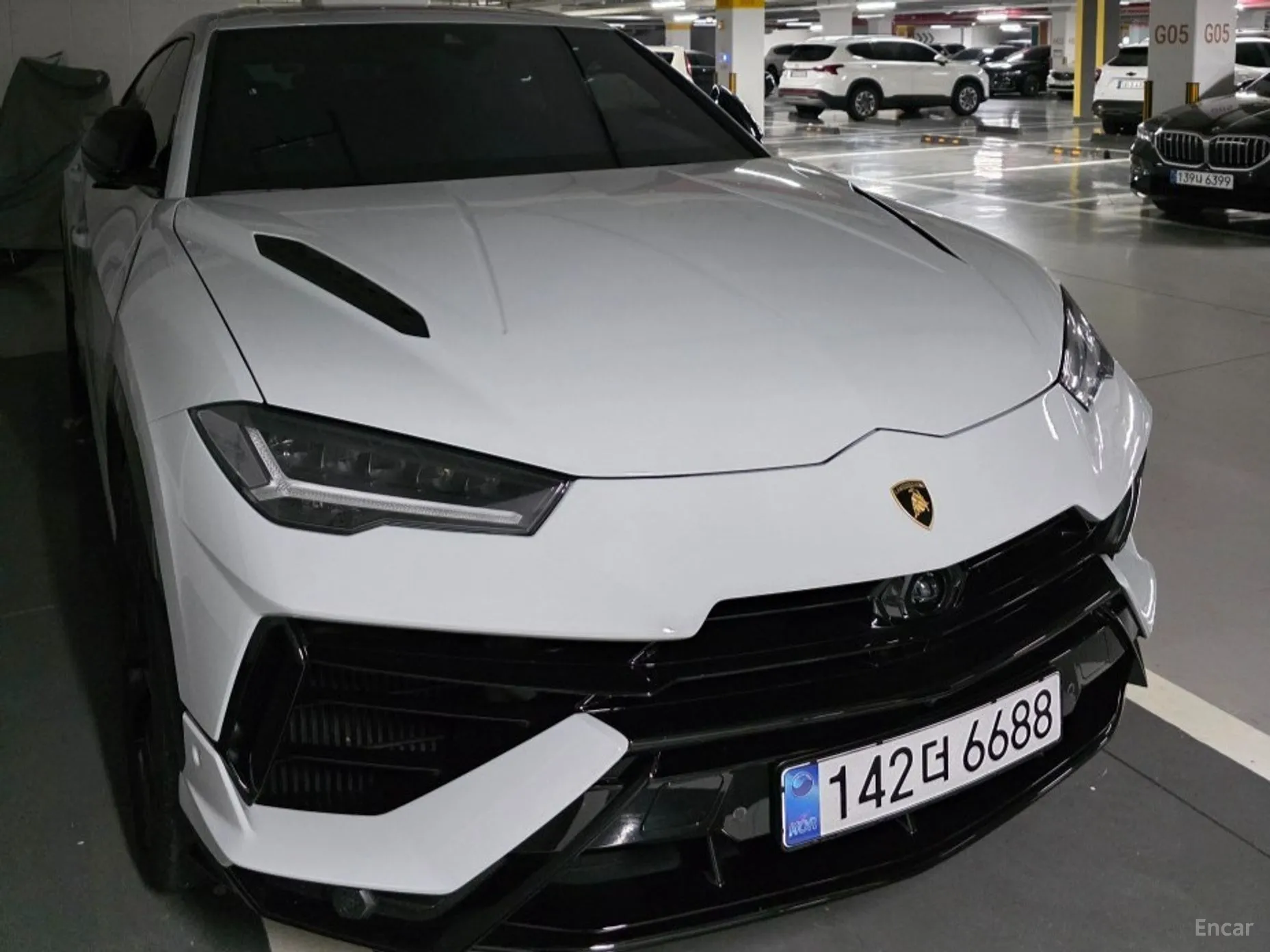 Urus