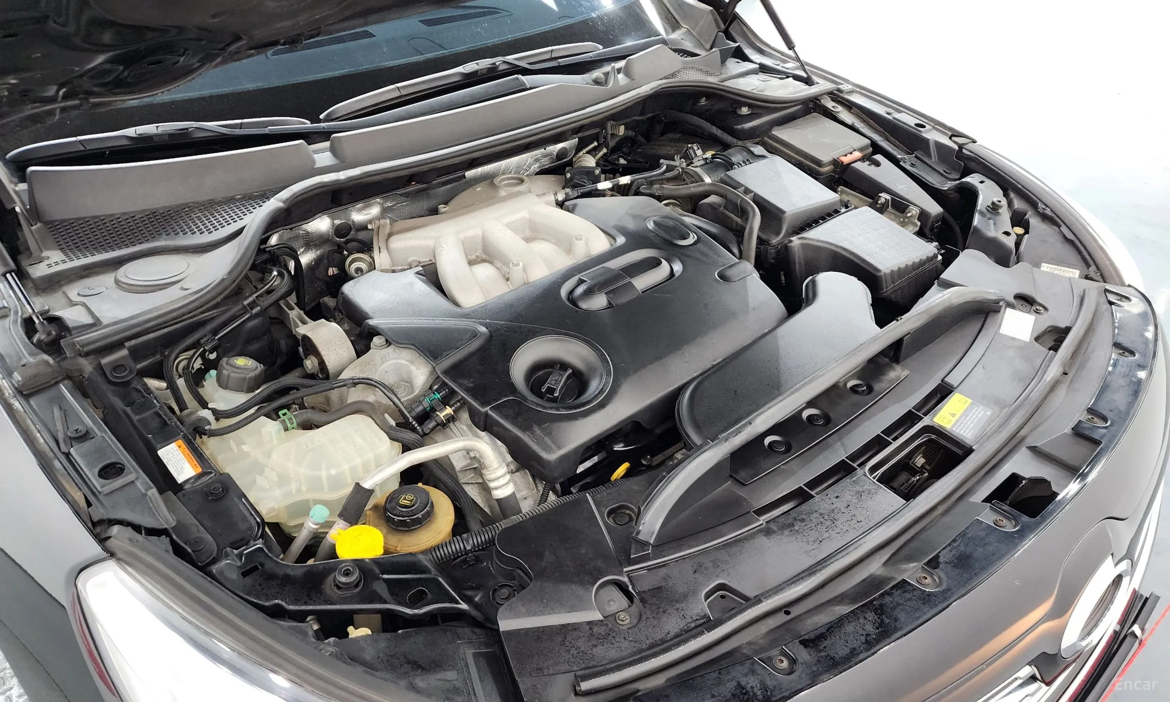 Renault Korea (Samsung) SM7 превью 6