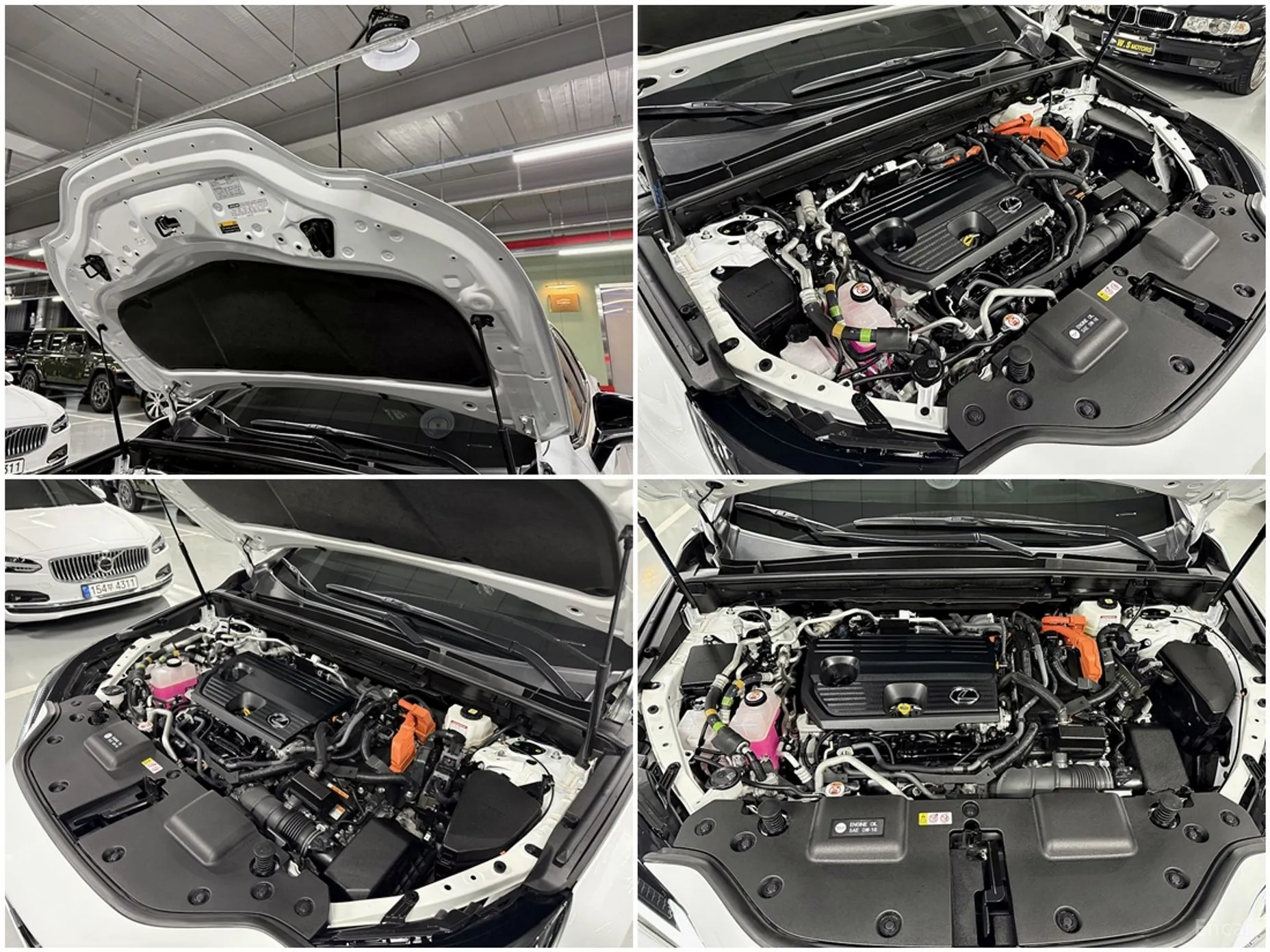 Lexus NX450h + 2nd Gen превью 19