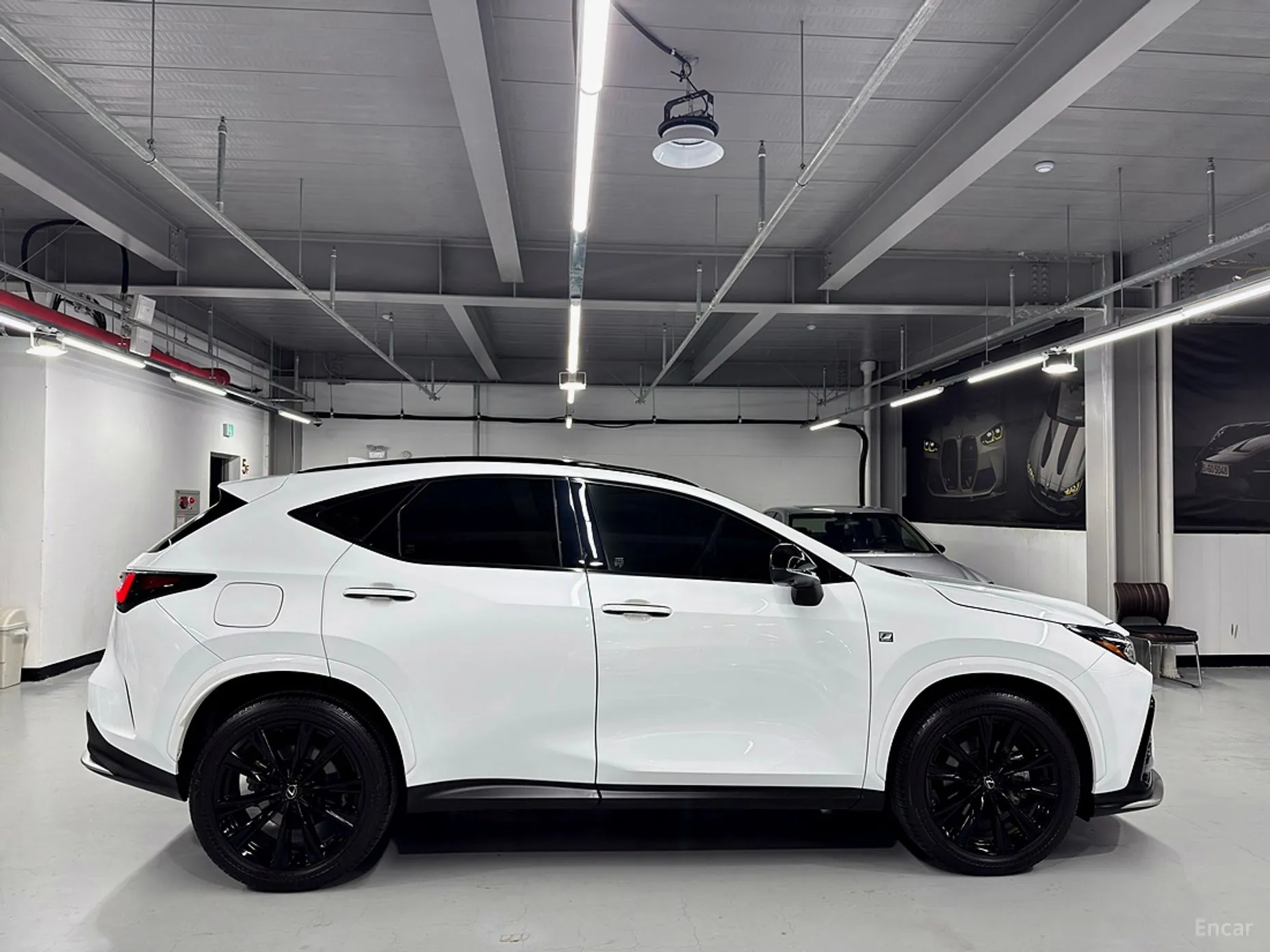 Lexus NX450h + 2nd Gen превью 5