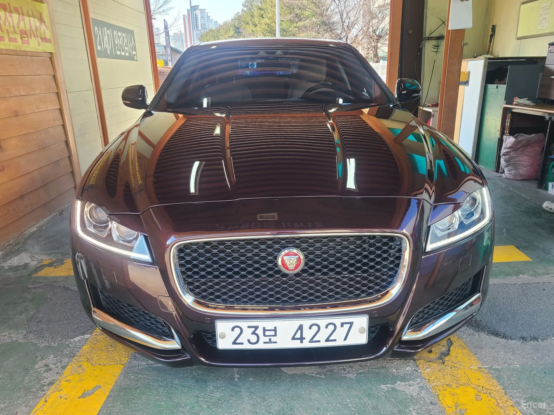 XF (x260)