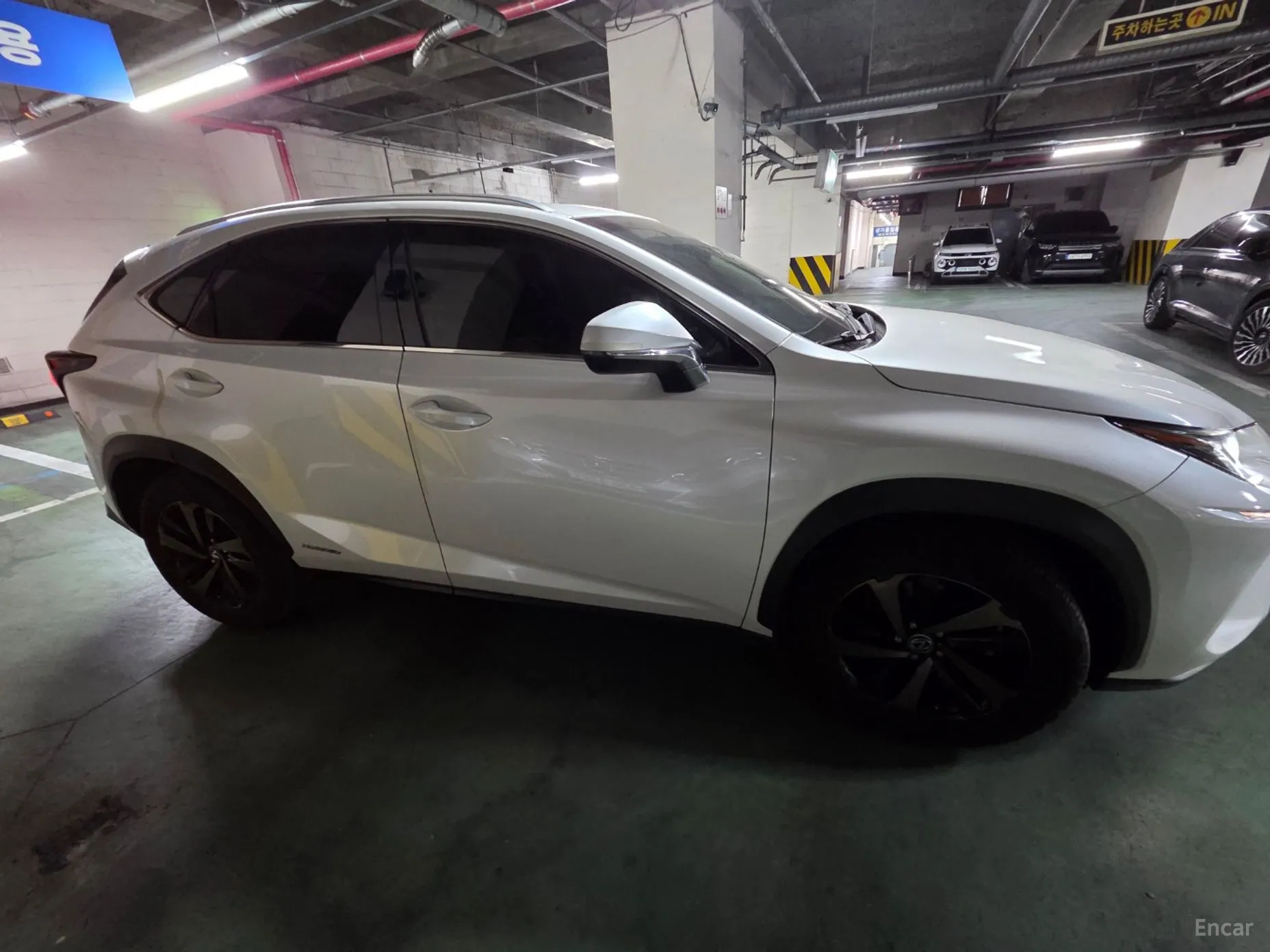 Lexus NX300h превью 3