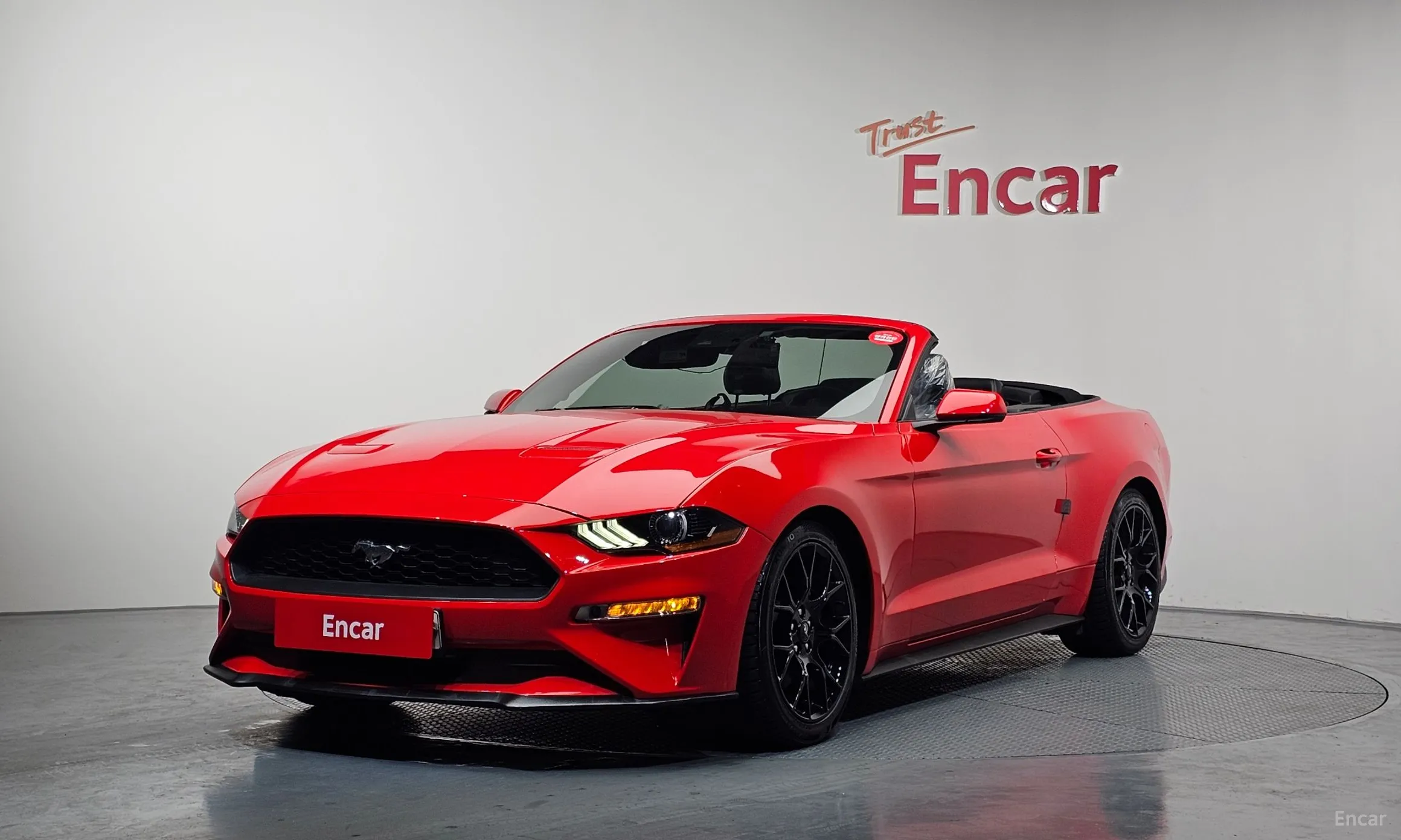 Mustang