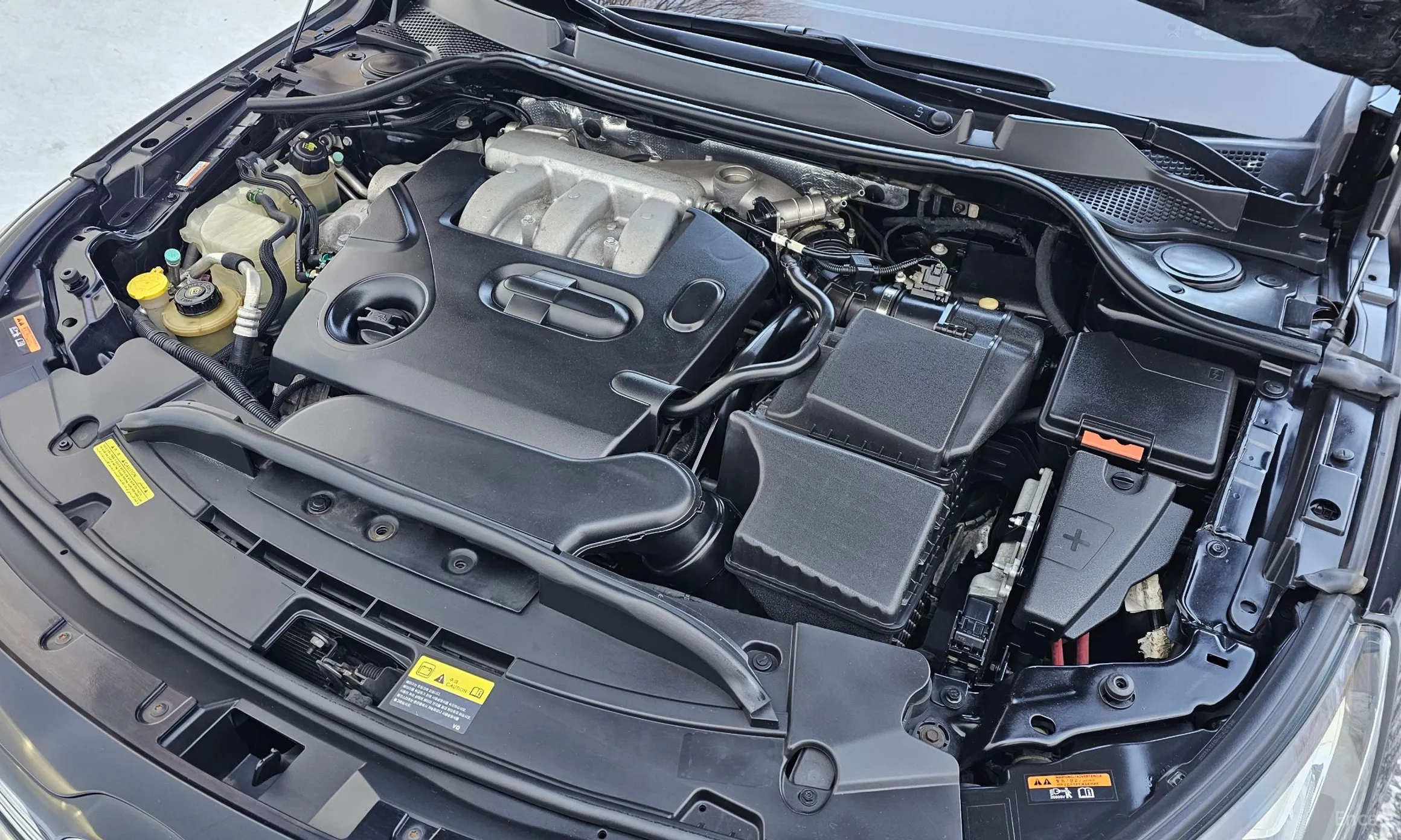 Renault Korea (Samsung) SM7 превью 6