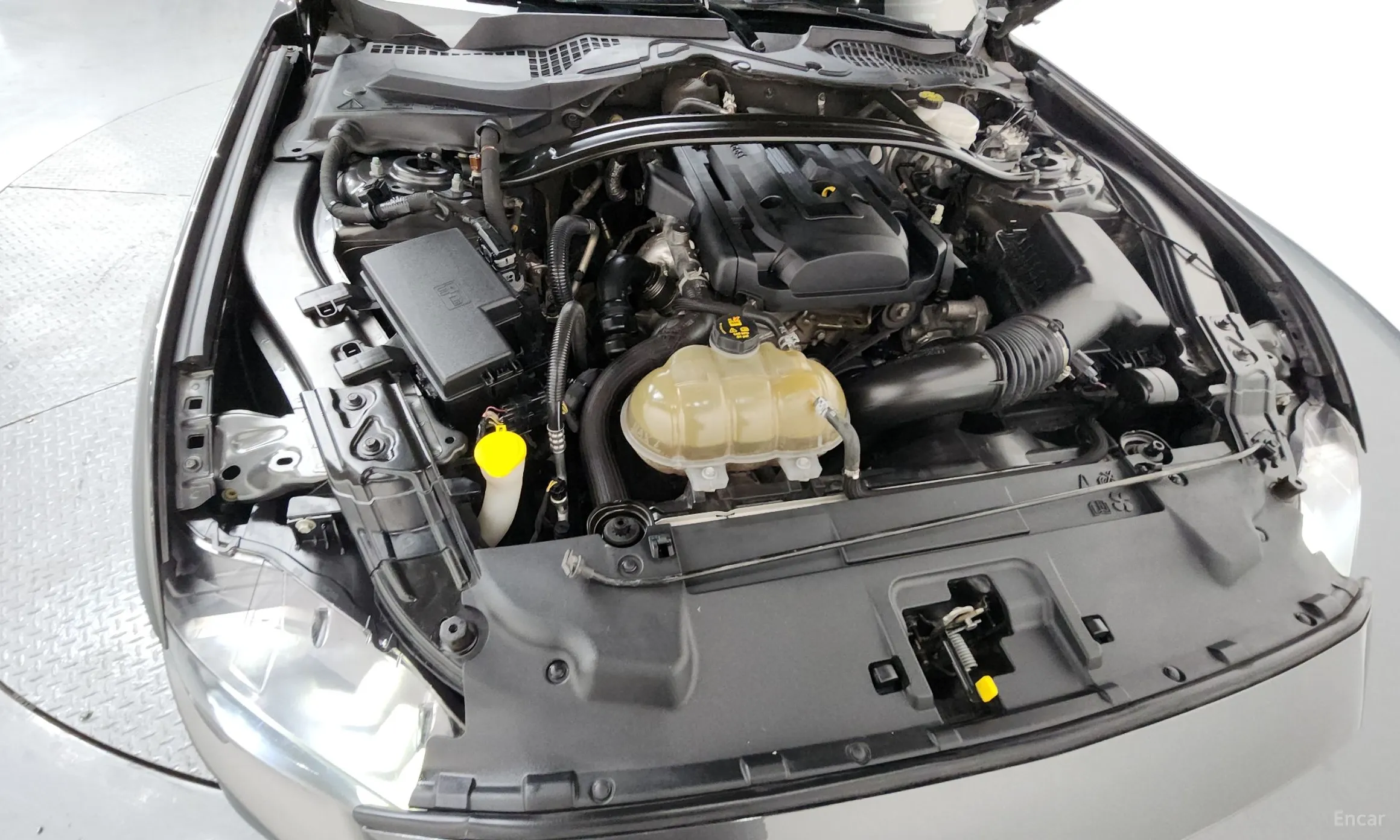 Ford Mustang превью 6