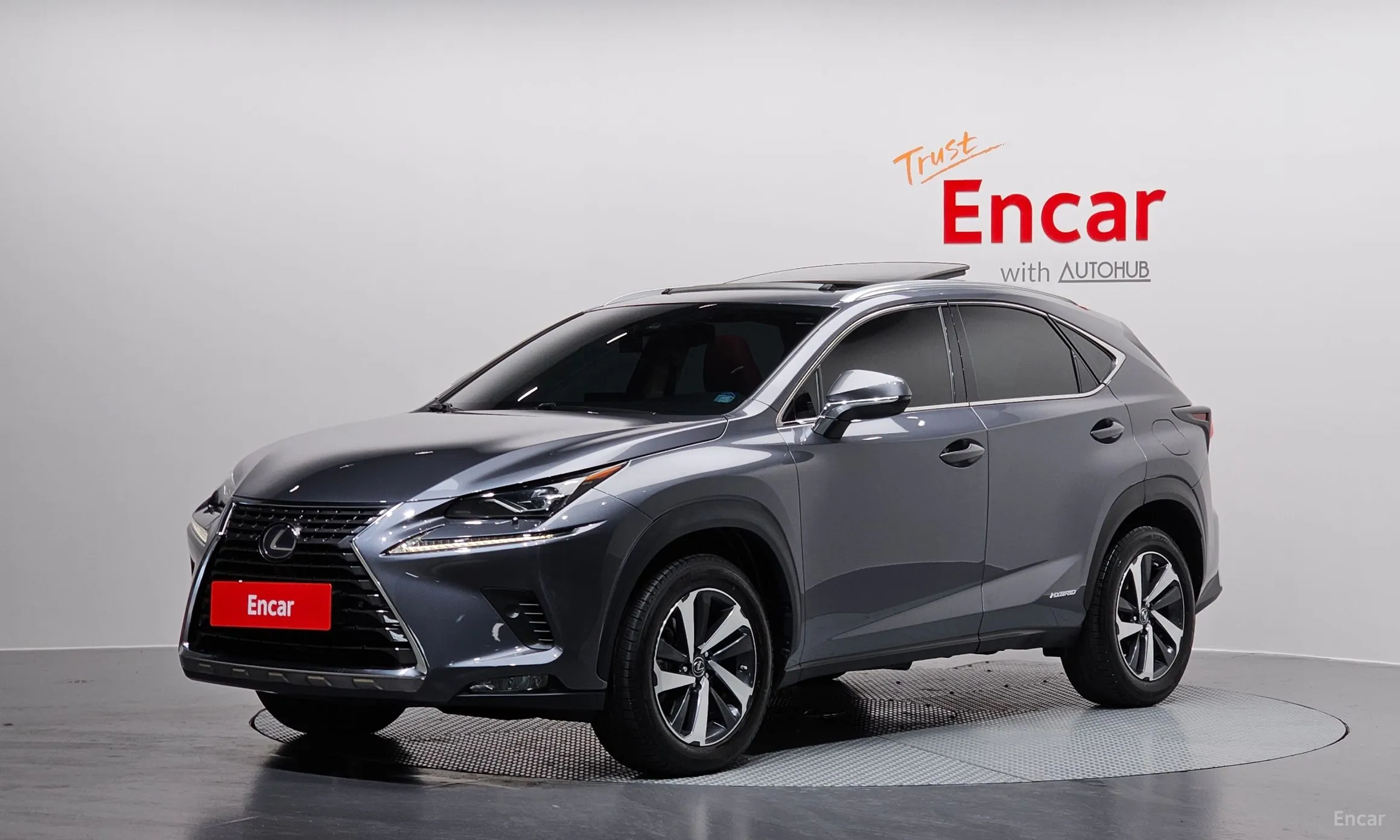 NX300h