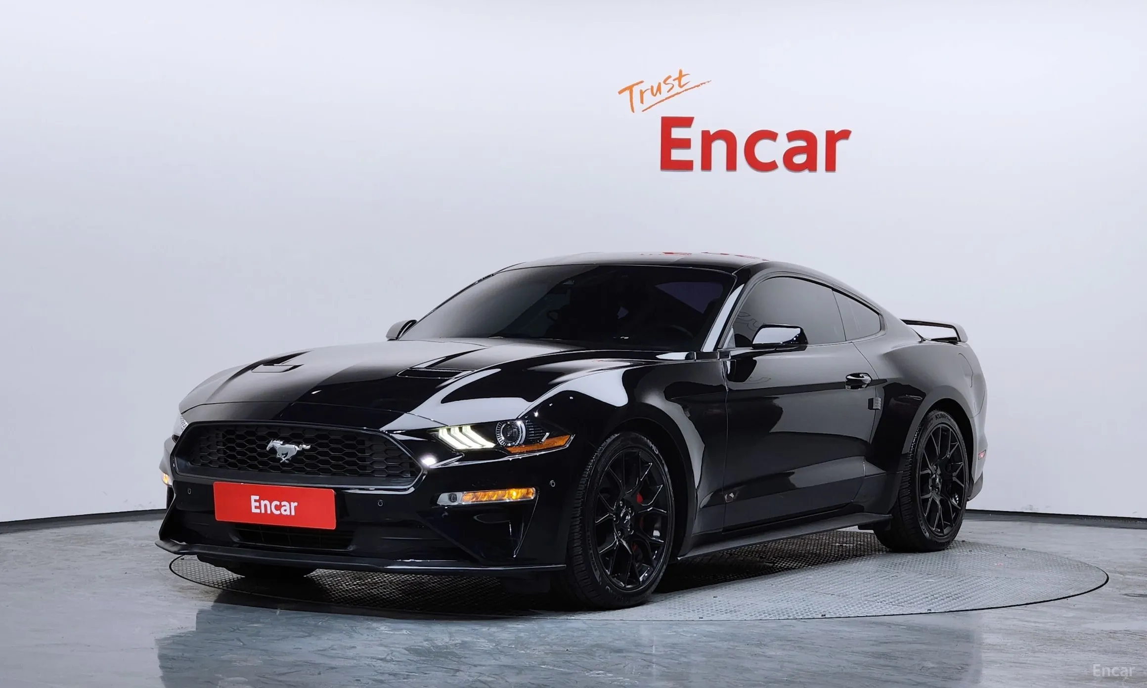 Mustang