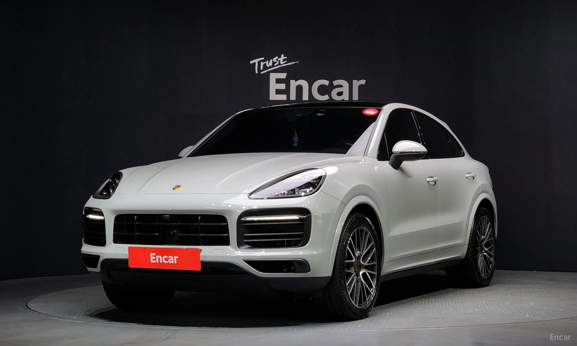 Cayenne (PO536)