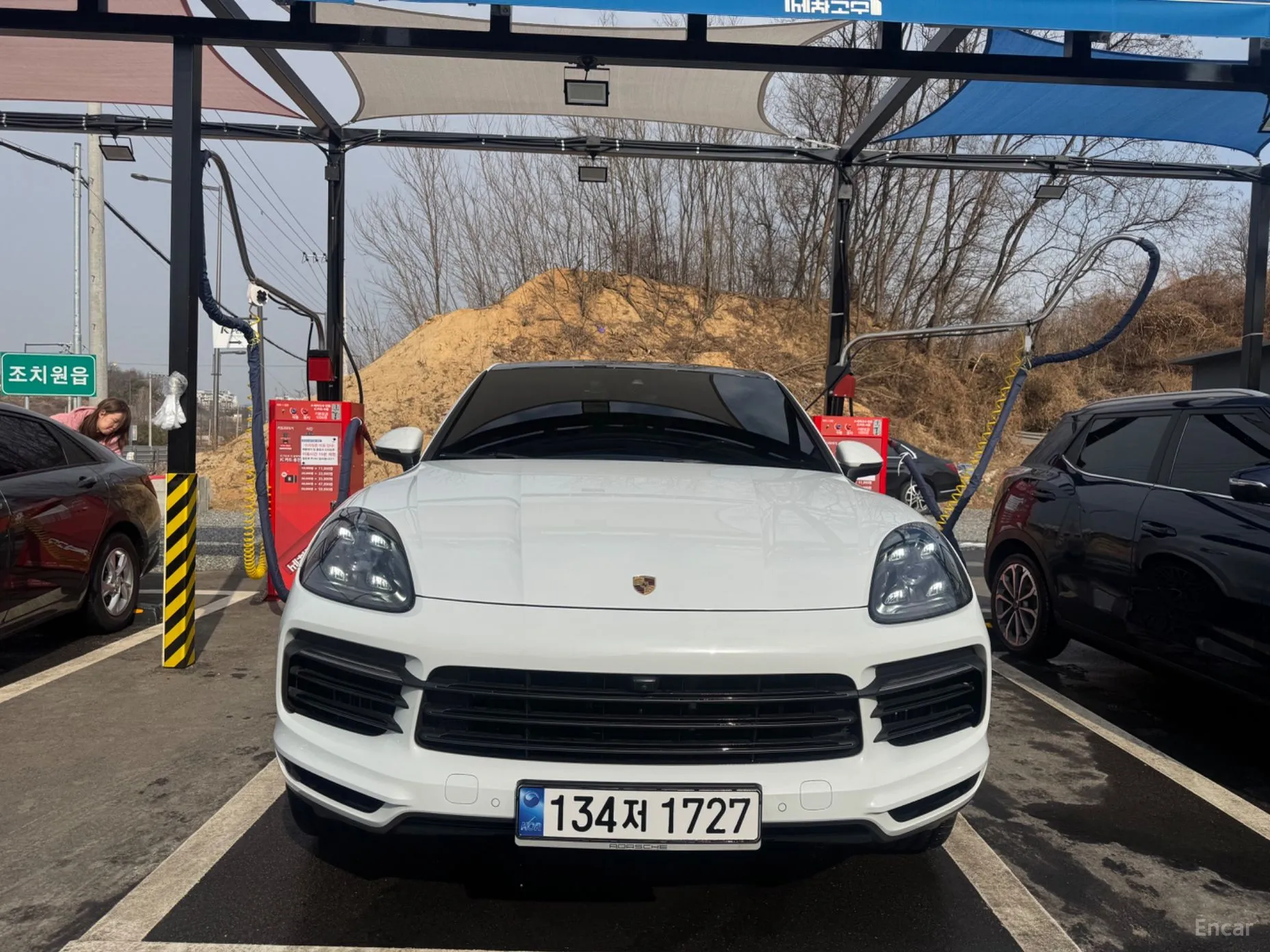 Cayenne (PO536)