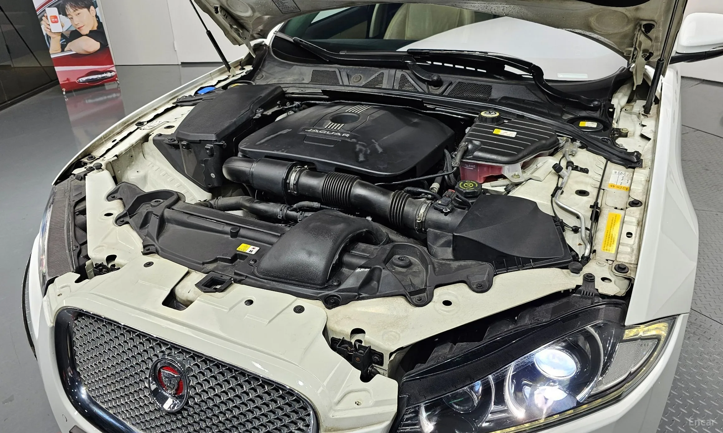 Jaguar New XF превью 6