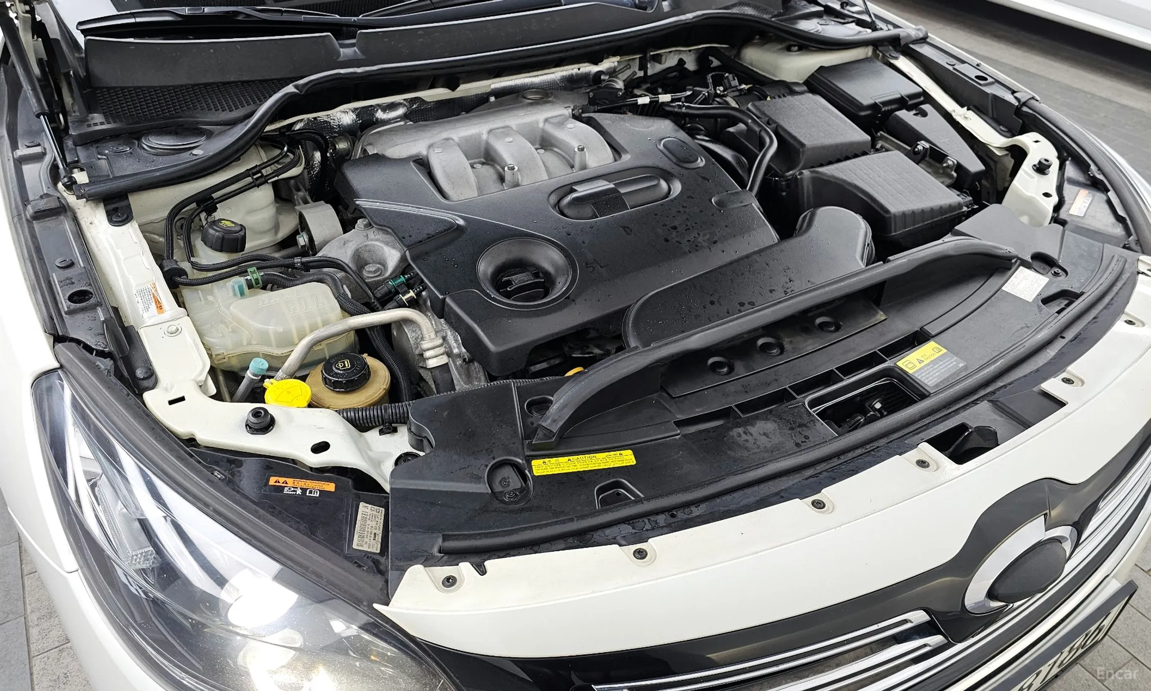 Renault Korea (Samsung) SM7 превью 6