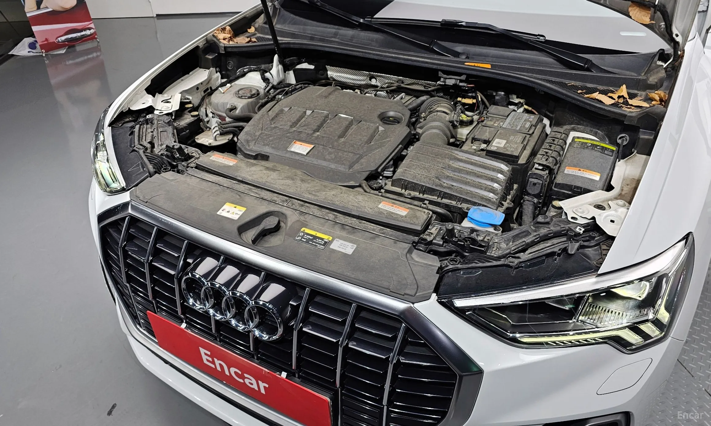 Audi Q3 (F3) превью 6