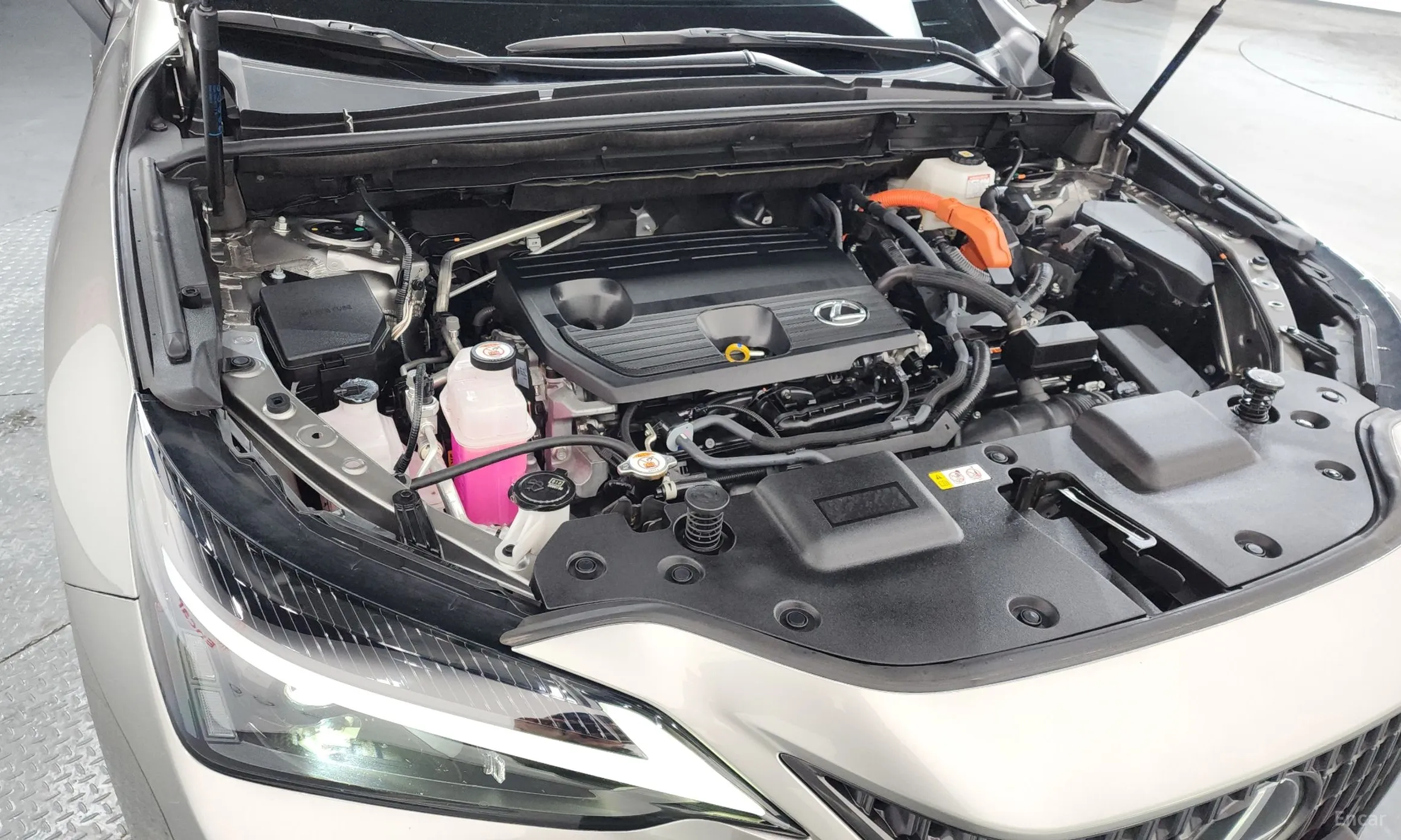 Lexus NX350h Gen 2 превью 6