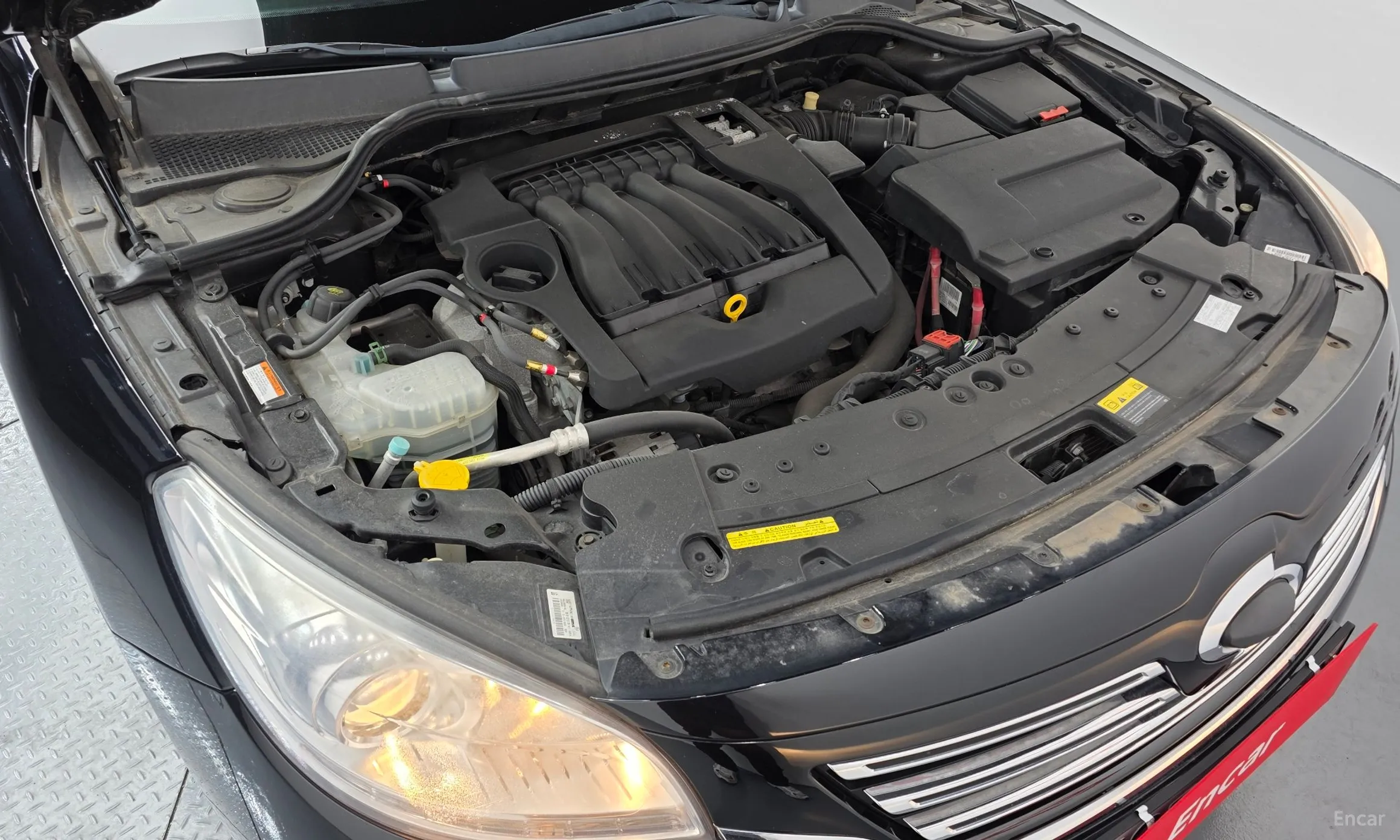 Renault Korea (Samsung) SM7 превью 6