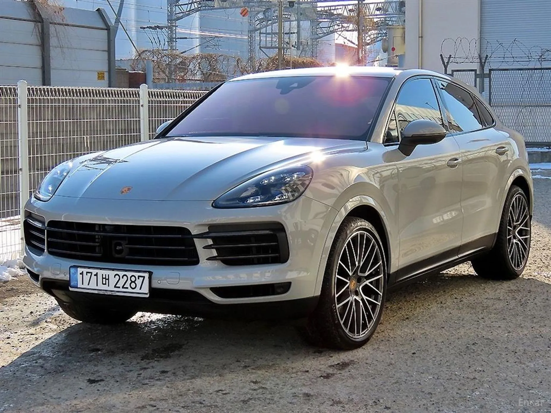 Cayenne (PO536)