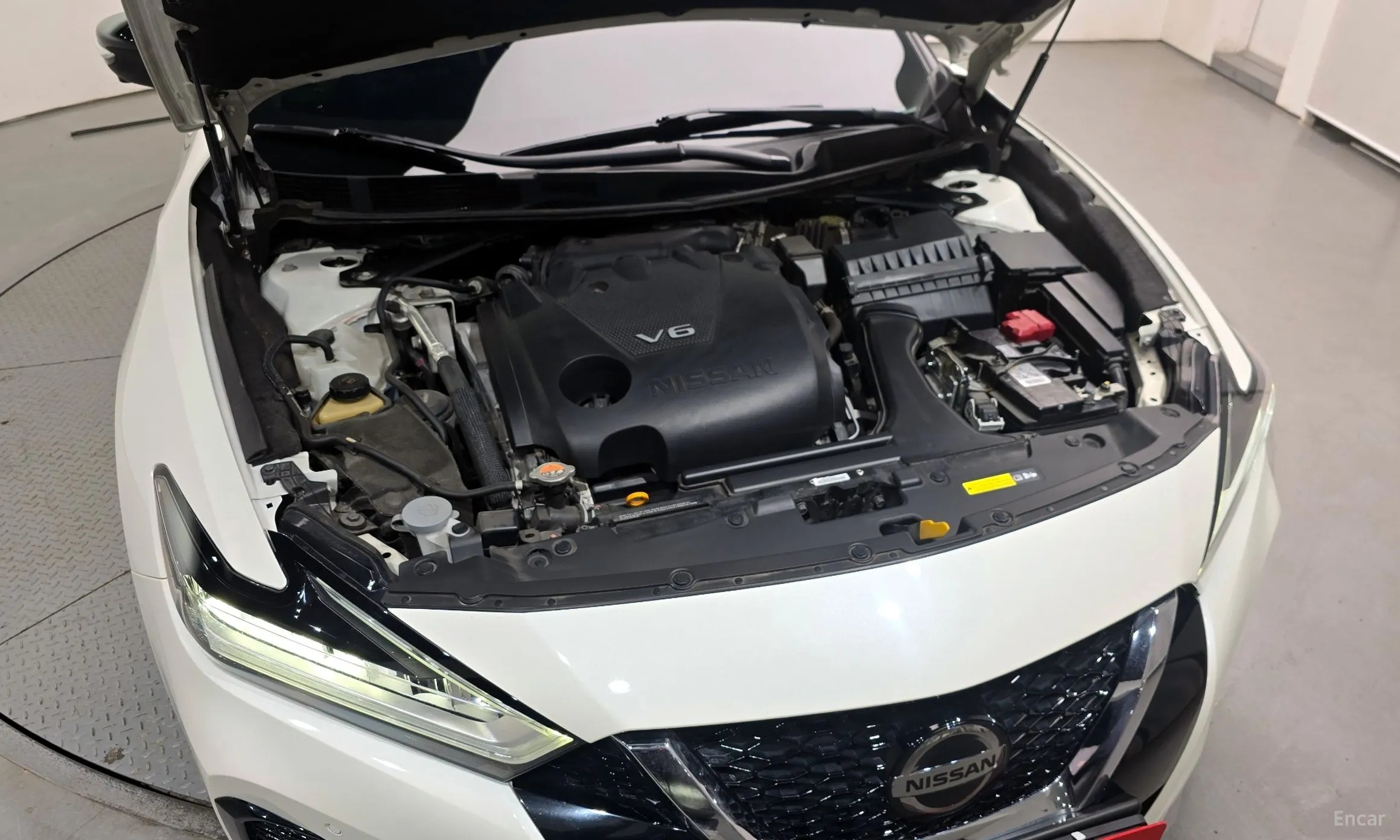 Nissan Maxima (A36) превью 6