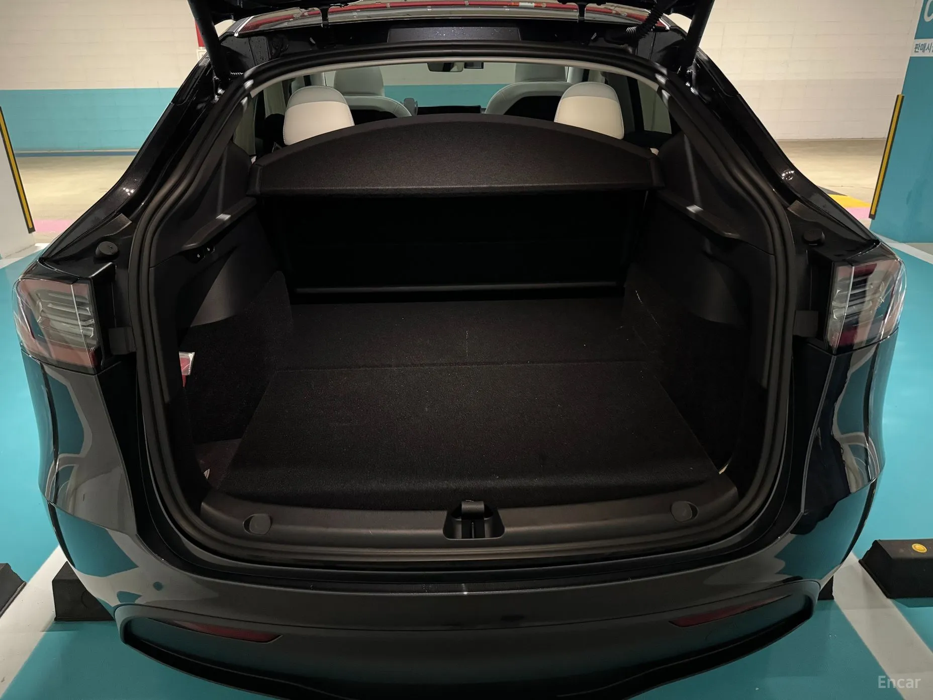 Tesla Model Y превью 12