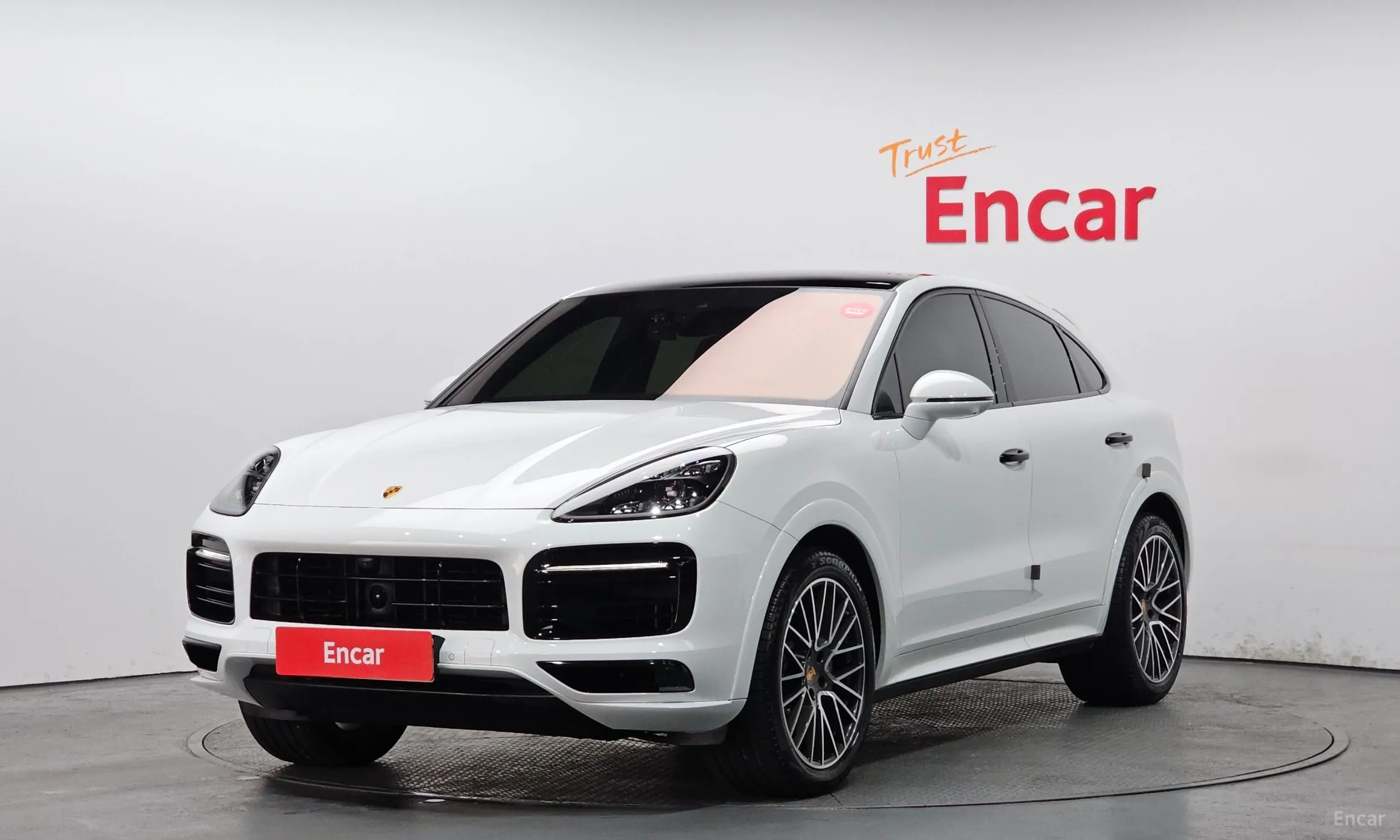 Cayenne (PO536)
